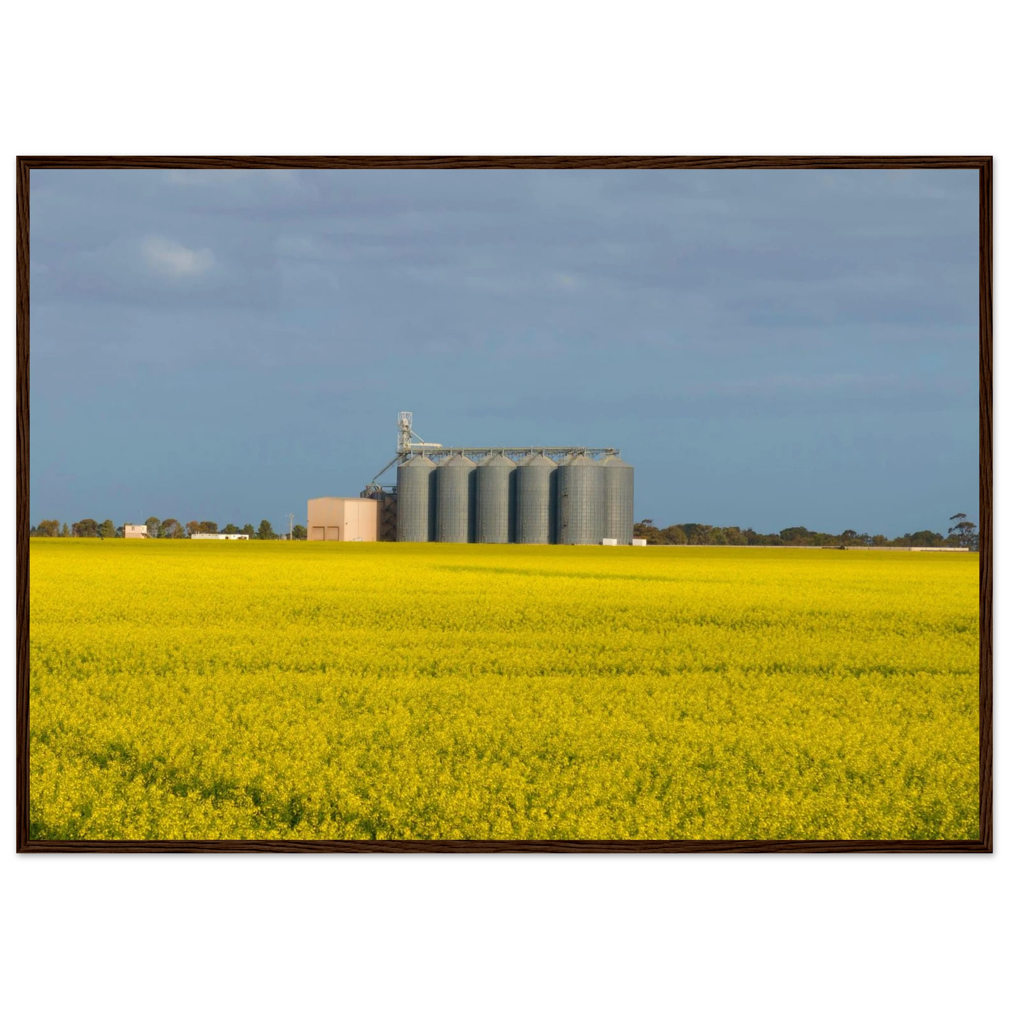 003a20cf-5197-45c9-867c-29b7e2ee84af