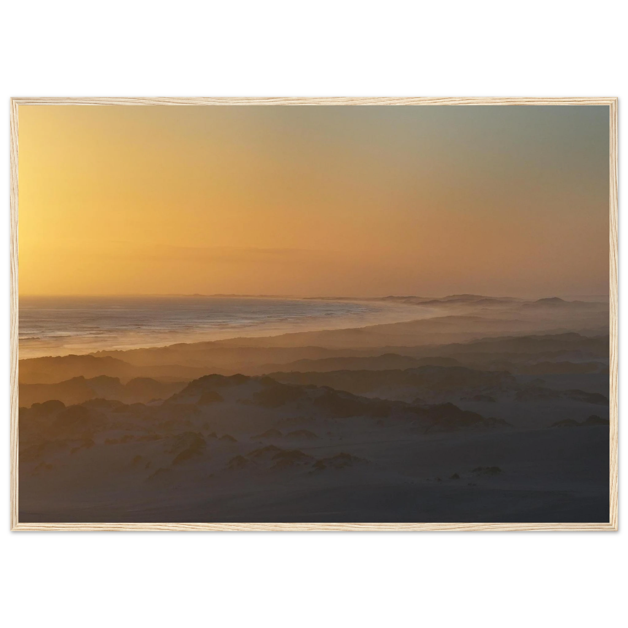 01fa5c9c-ddc4-46f9-8228-a456944231c1