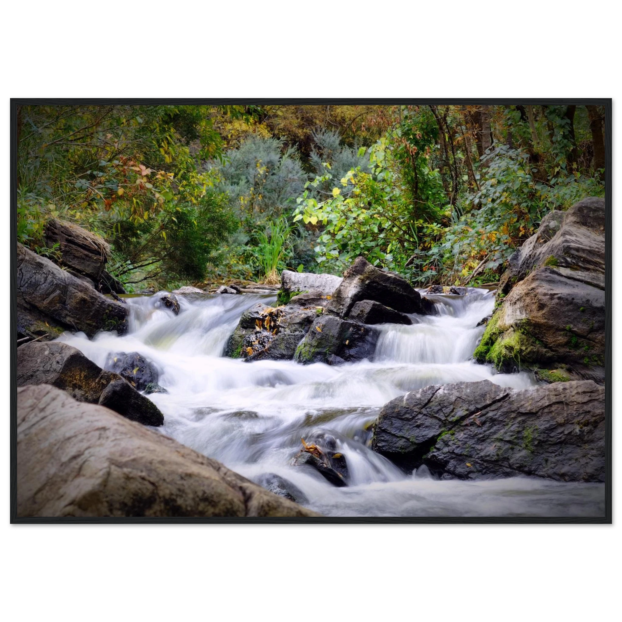 0ba47868-eeb6-42a9-97dd-1be521a2430b