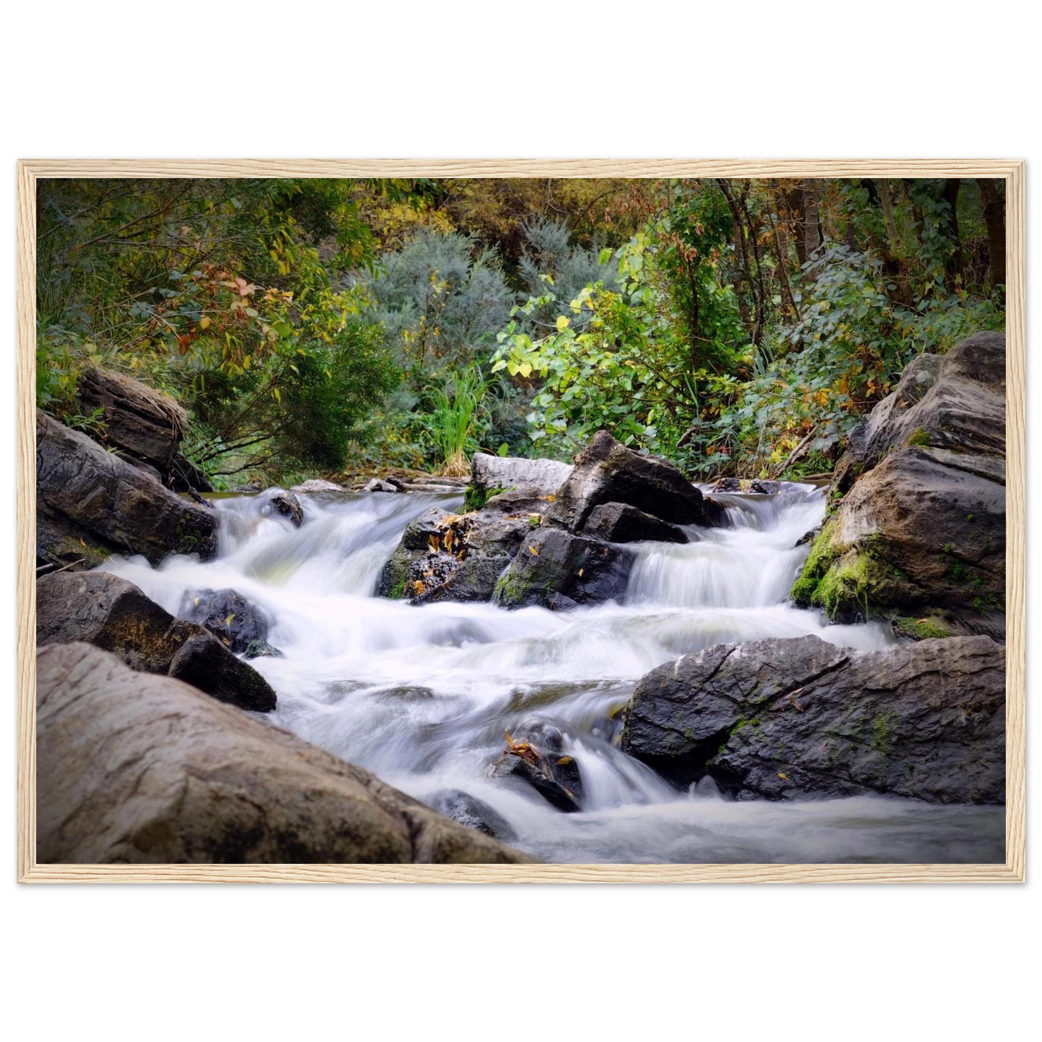 12b5a165-6a13-4bf7-9020-742295cfb4e0