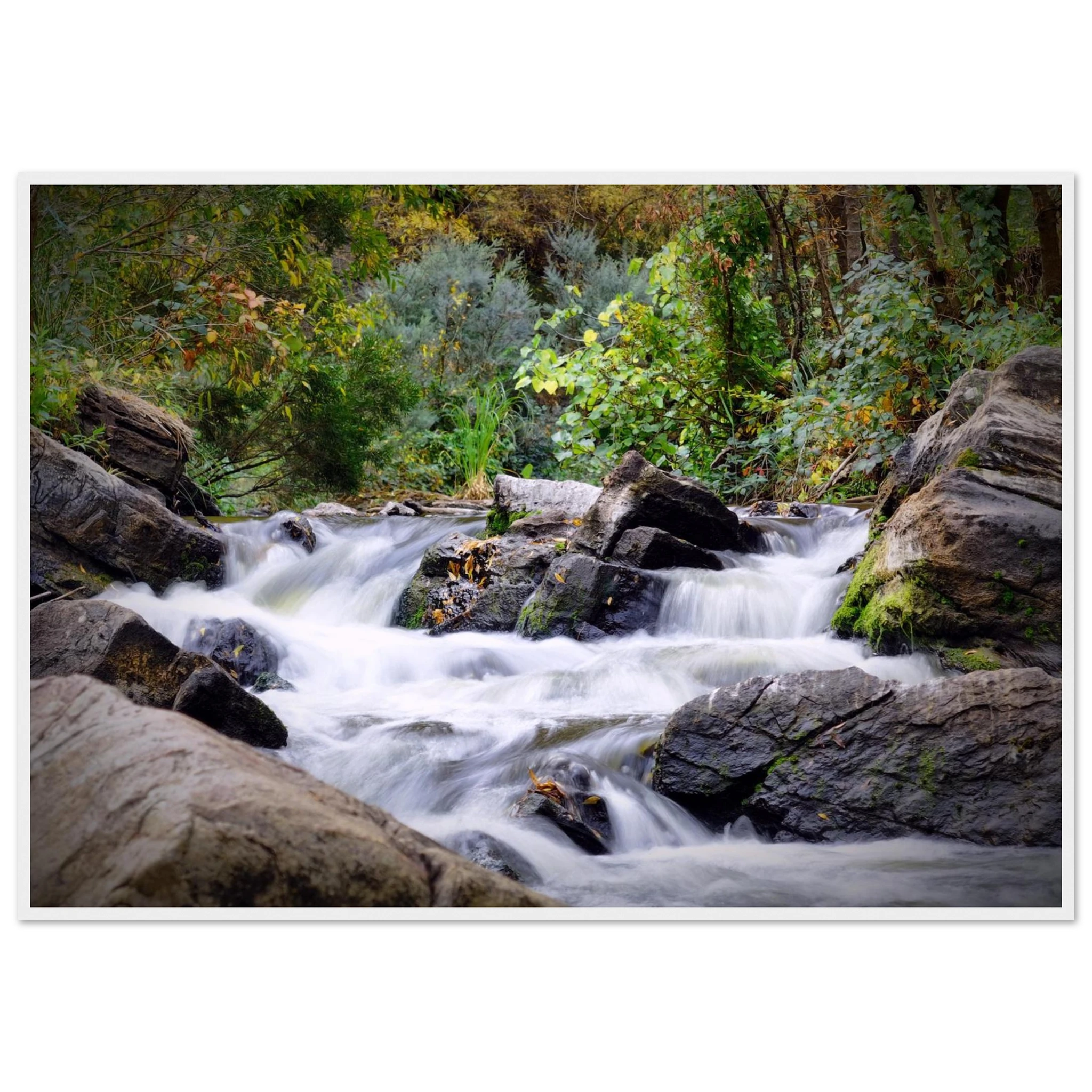 1510f173-7cee-4bd7-b2c8-a2a08adace1c