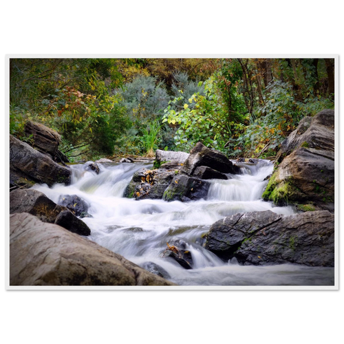 1510f173-7cee-4bd7-b2c8-a2a08adace1c