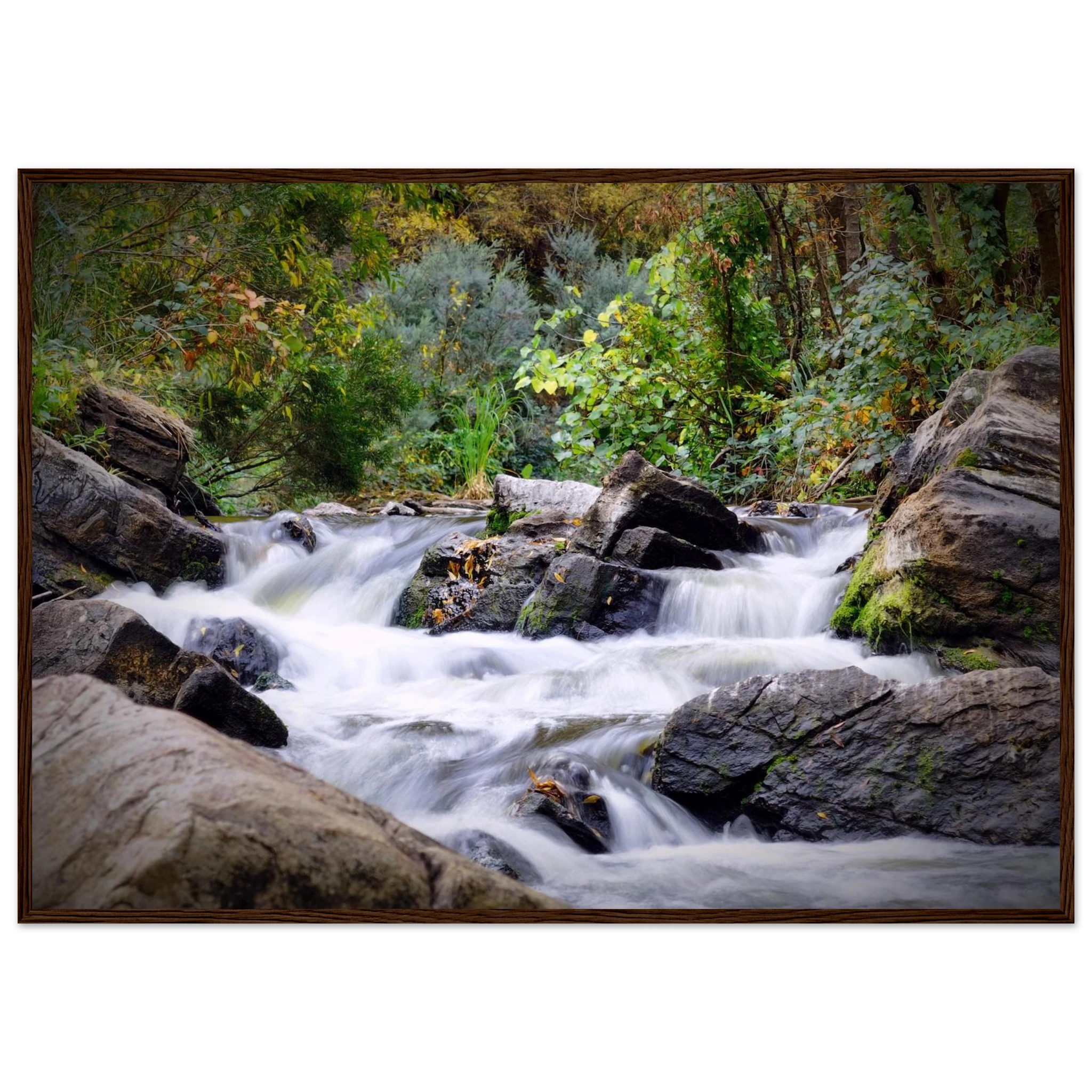 15c3f839-878a-4d05-8039-4dae620bcf27