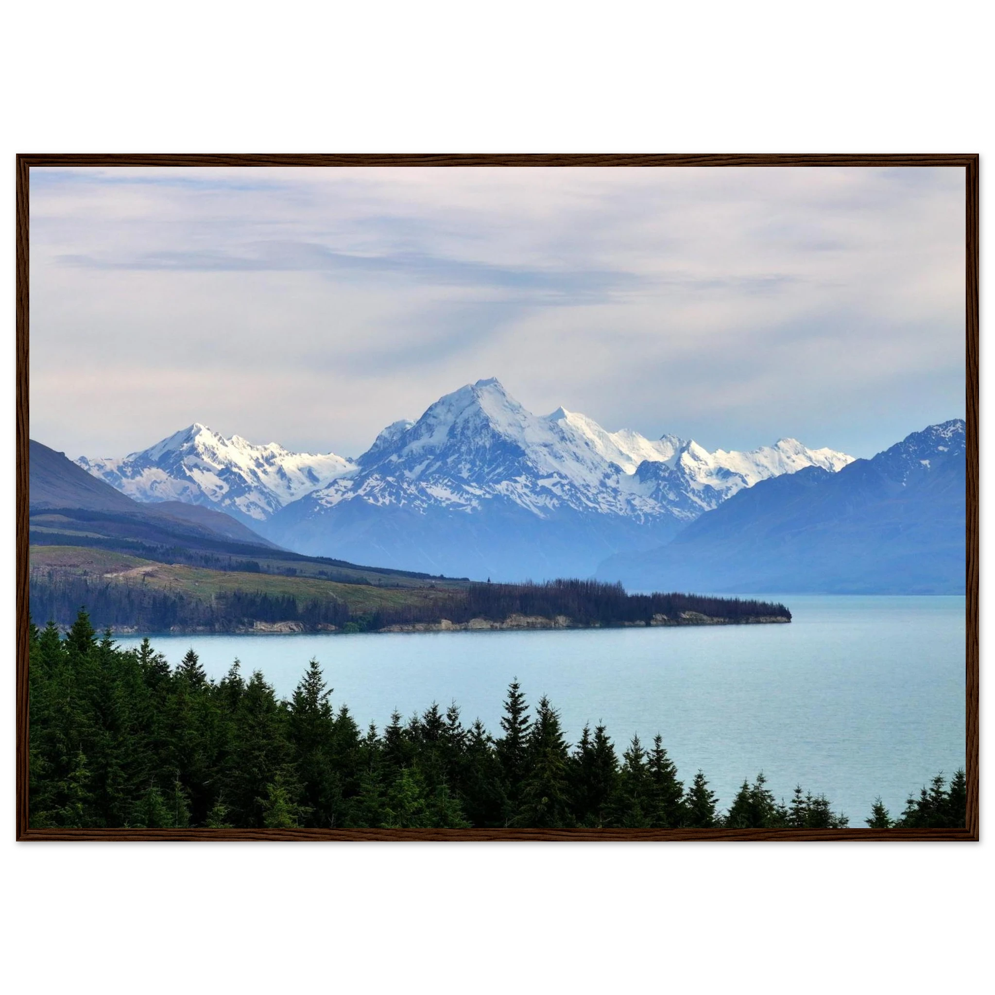 17155d64-c589-4e24-8dd7-6391c9f14bb0