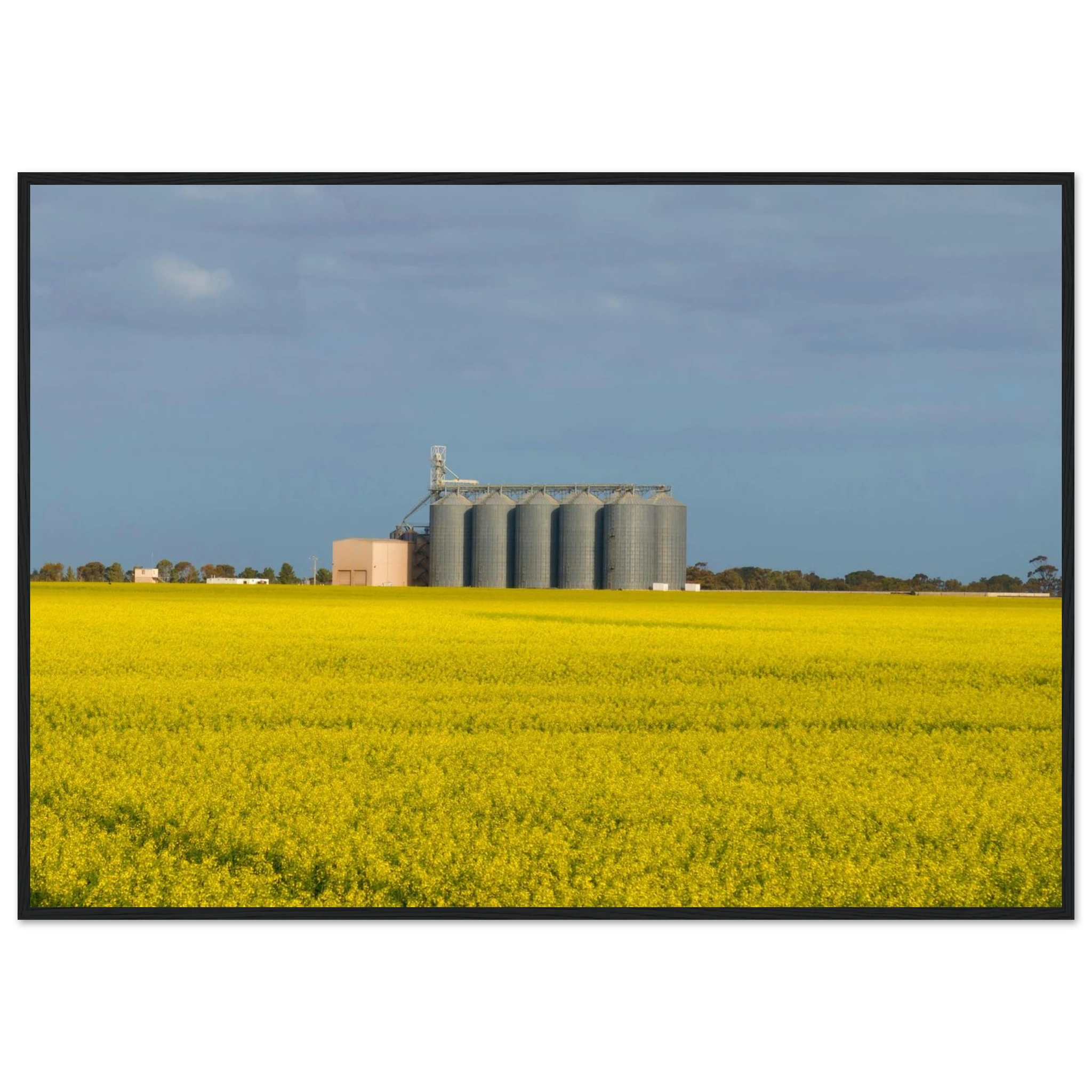 1949537b-fd69-4dab-842a-e62a873b8581