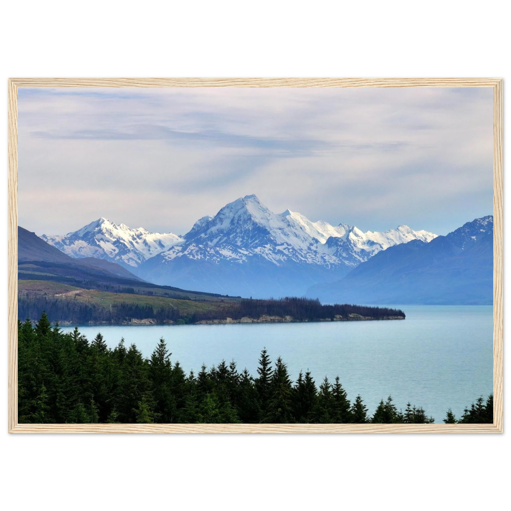 2381cc73-fbea-4051-a850-de4c8e041edd