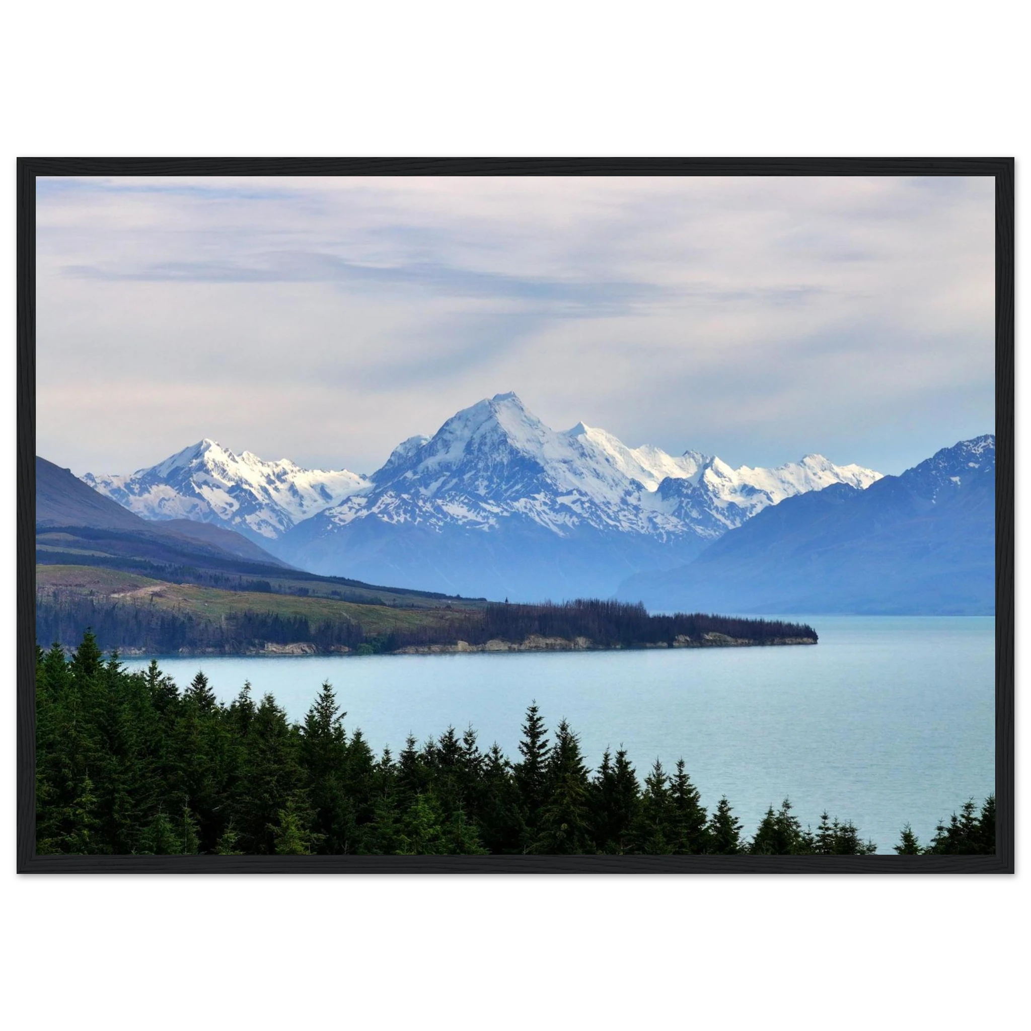 2d5282e3-83bd-464f-a389-7f984cbbe99a