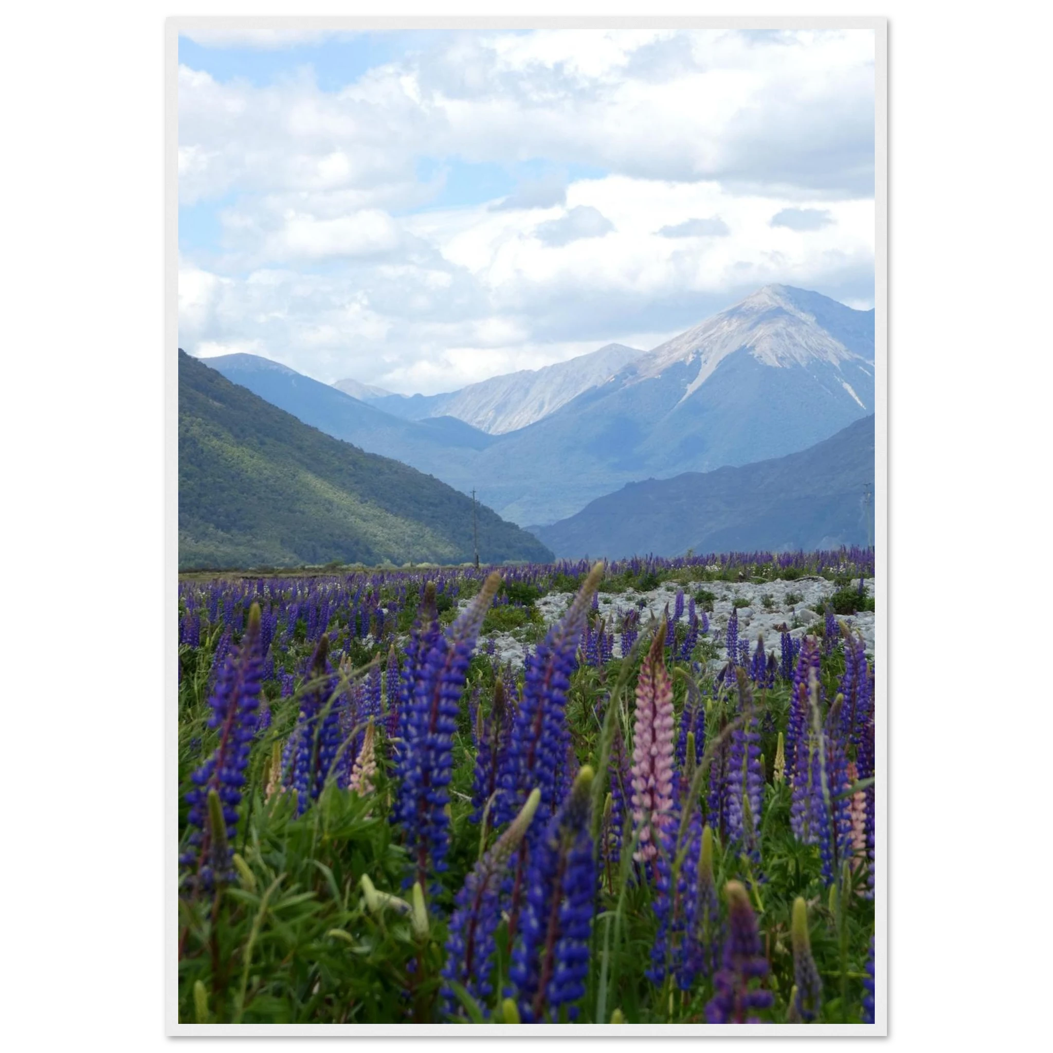 3446ae1e-32a4-404a-94cd-aece8ef89e6f