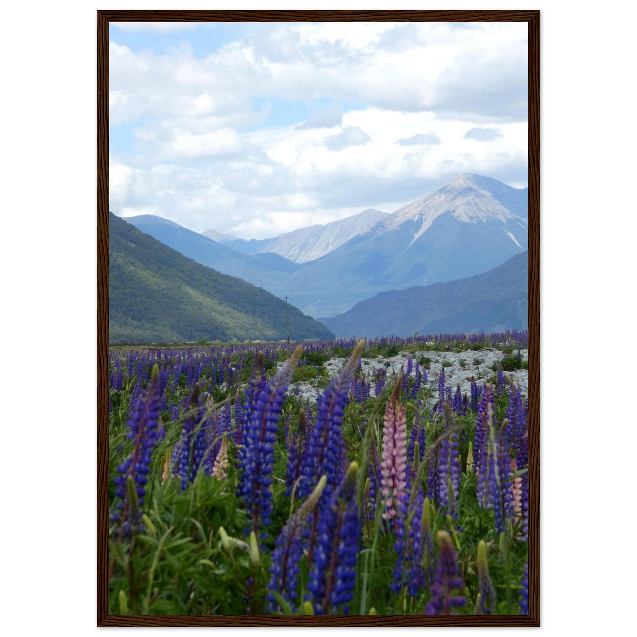 38b9dad1-0add-410c-a740-396857a1420e