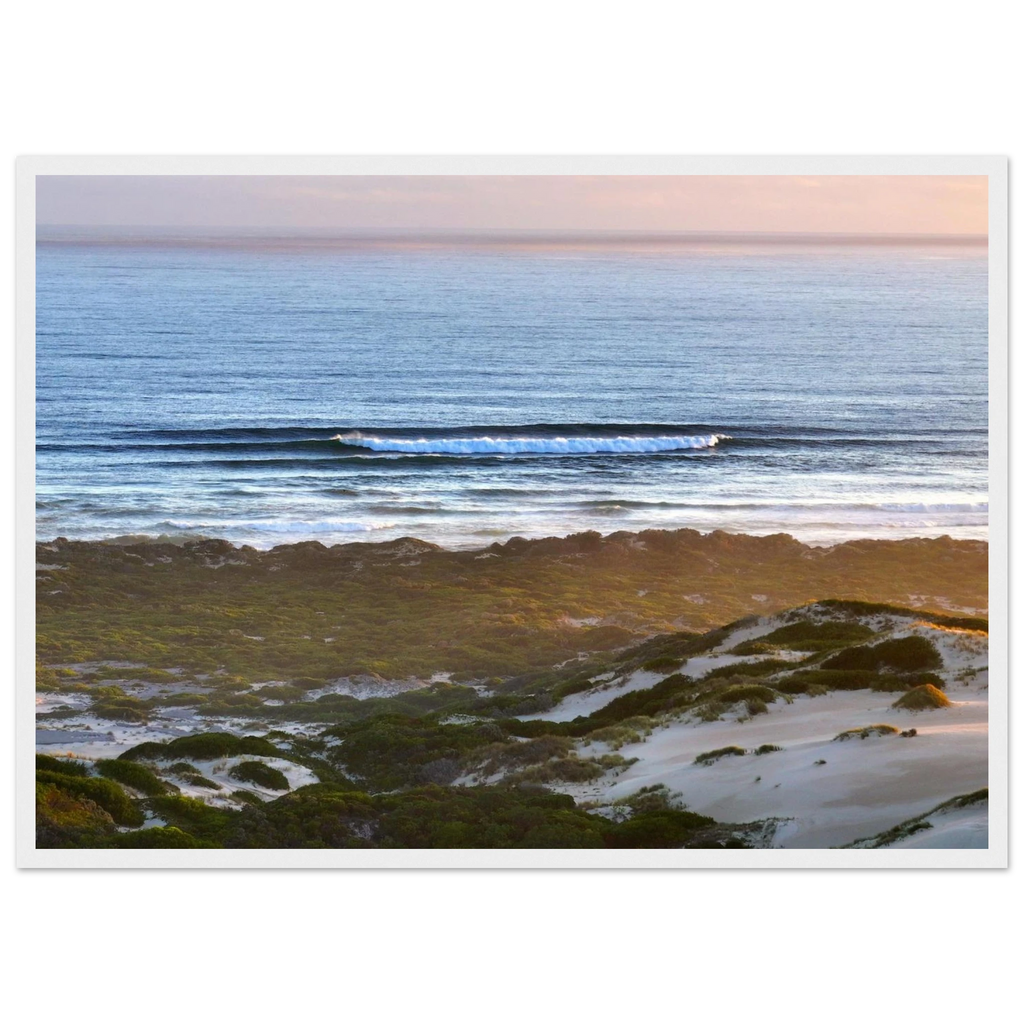 3c470fd4-fb38-47ea-b3e7-fe6b5a642dc9