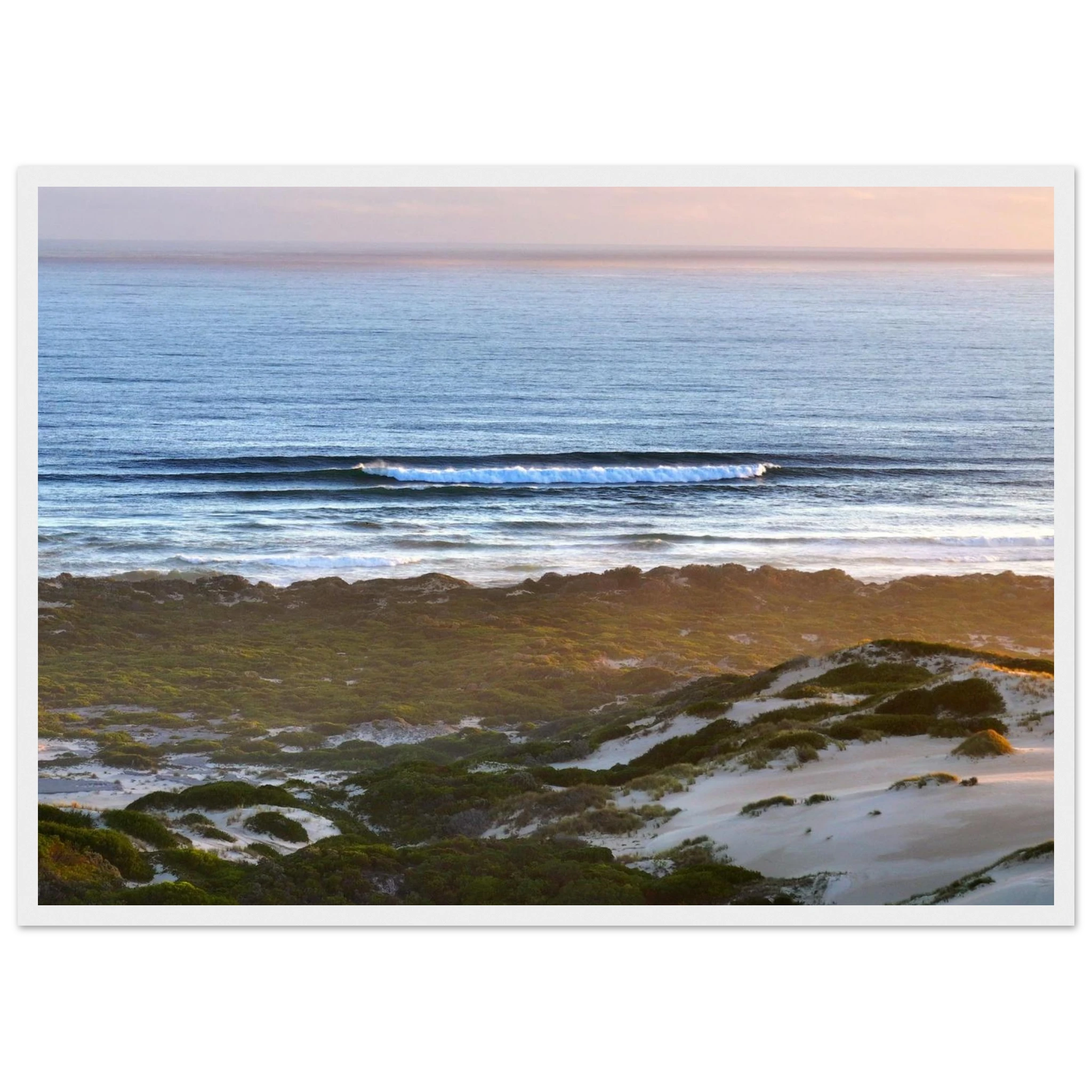 3c470fd4-fb38-47ea-b3e7-fe6b5a642dc9