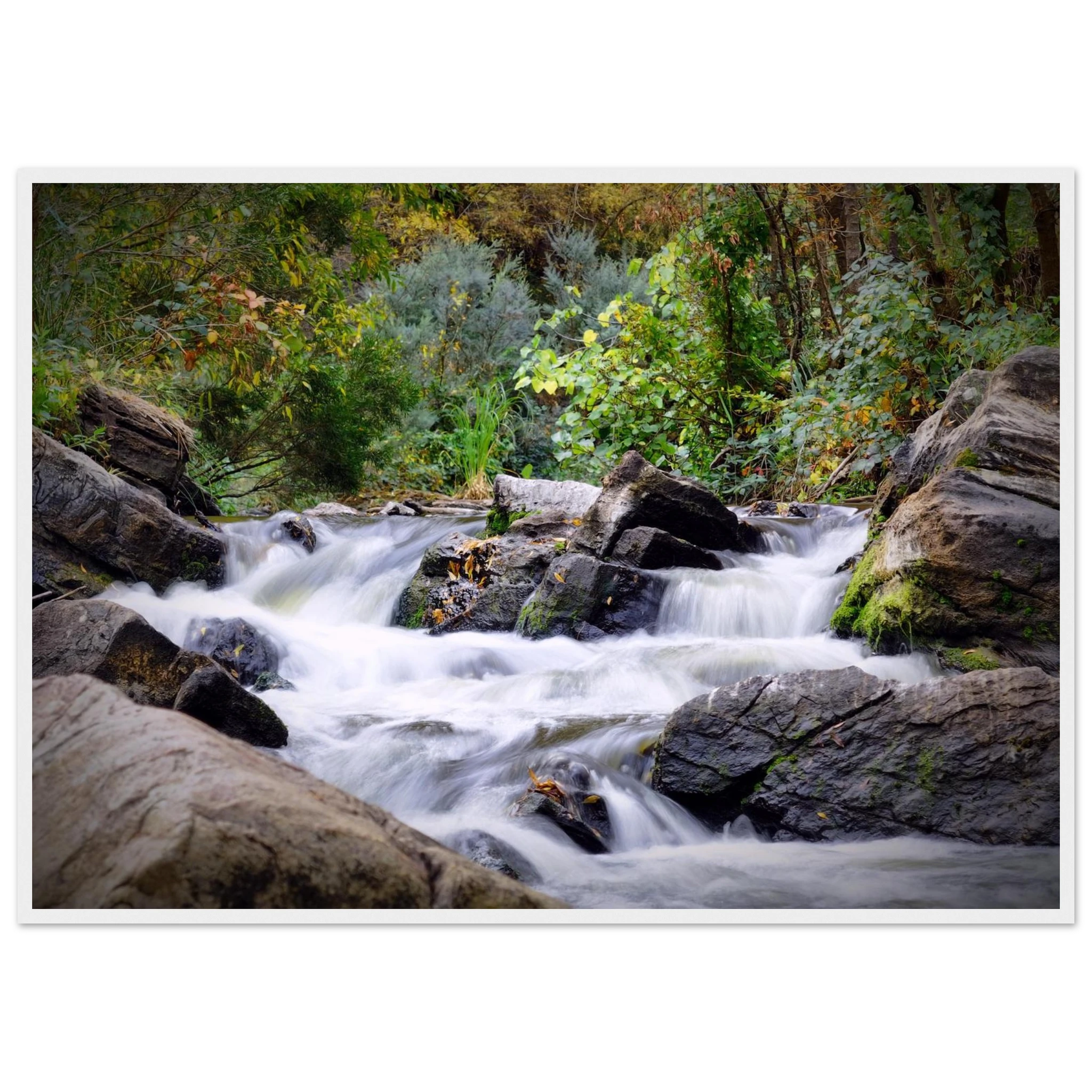 3d7f5c0f-474e-455a-8b15-9a25354e93bc