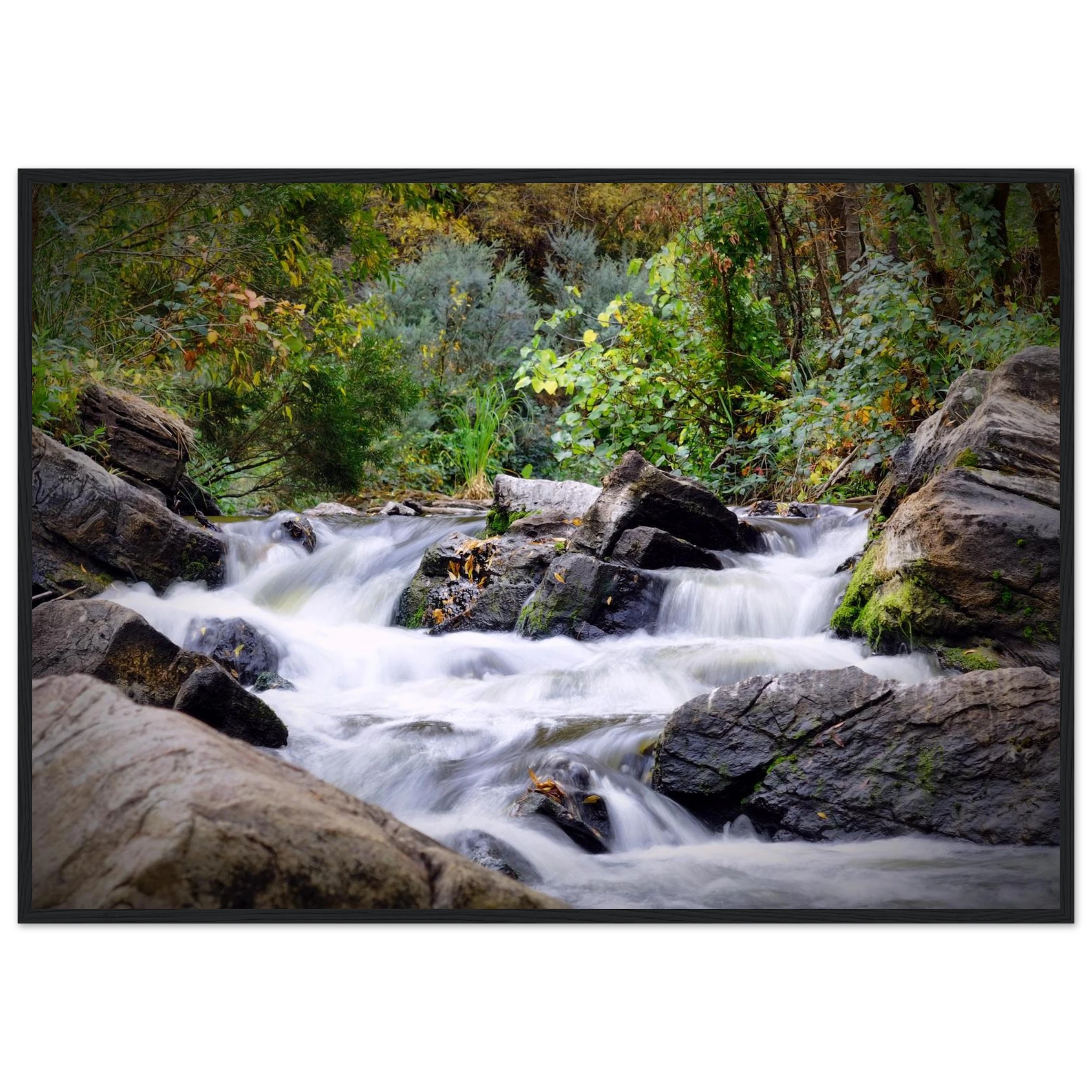 415841b9-ce69-4808-a97f-b5ec008cbb5b