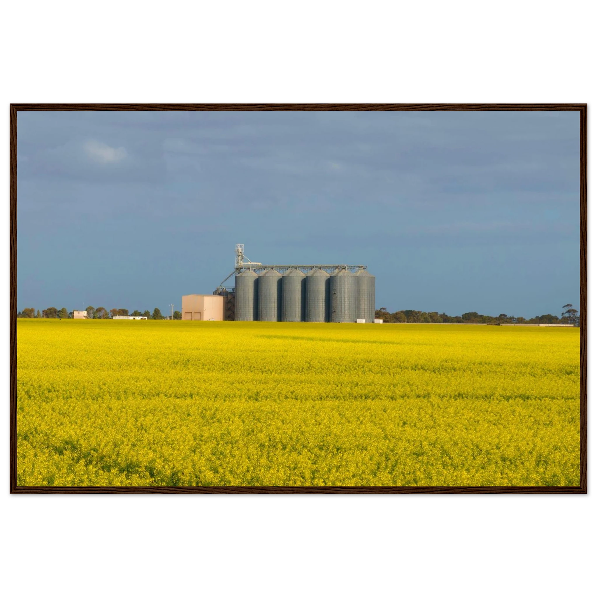 4c36fe8e-3805-4ff6-808a-8d74b7f0d855