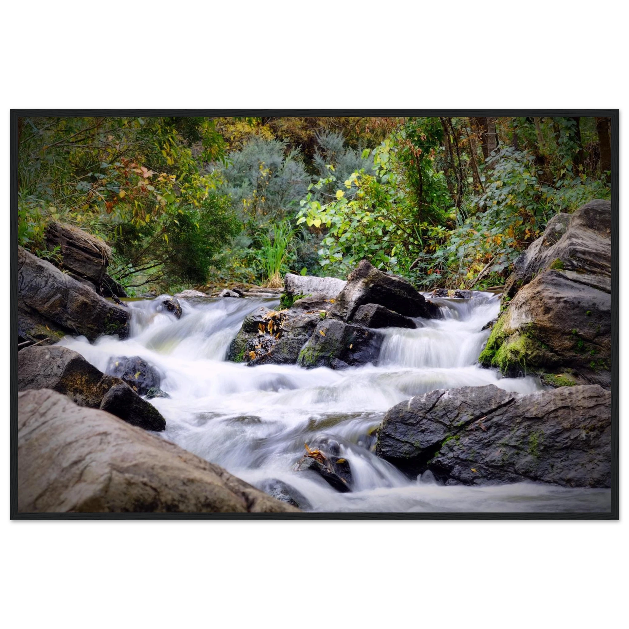 4c5e18d0-4afa-463f-93f6-2b455b7418eb