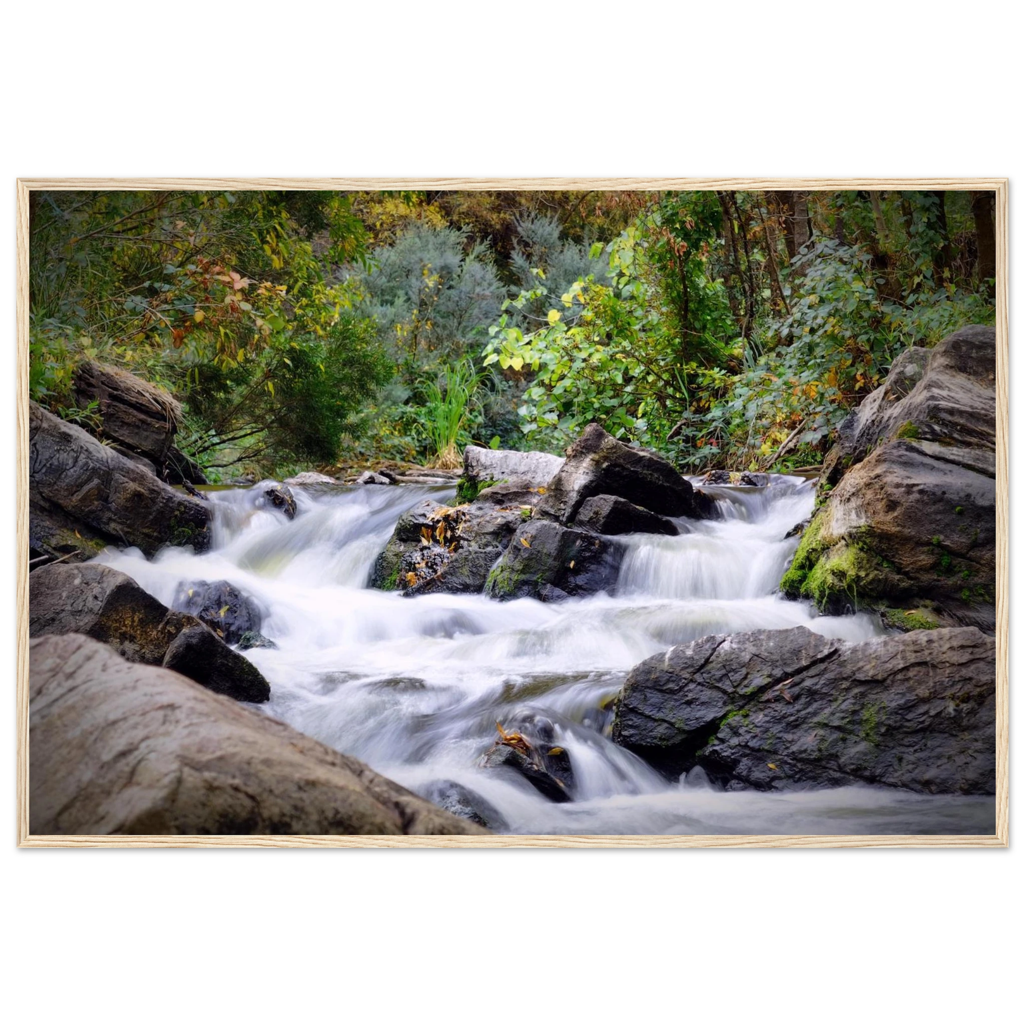 4eded9f1-ebfc-4f4e-b862-2dbc16a7b07c