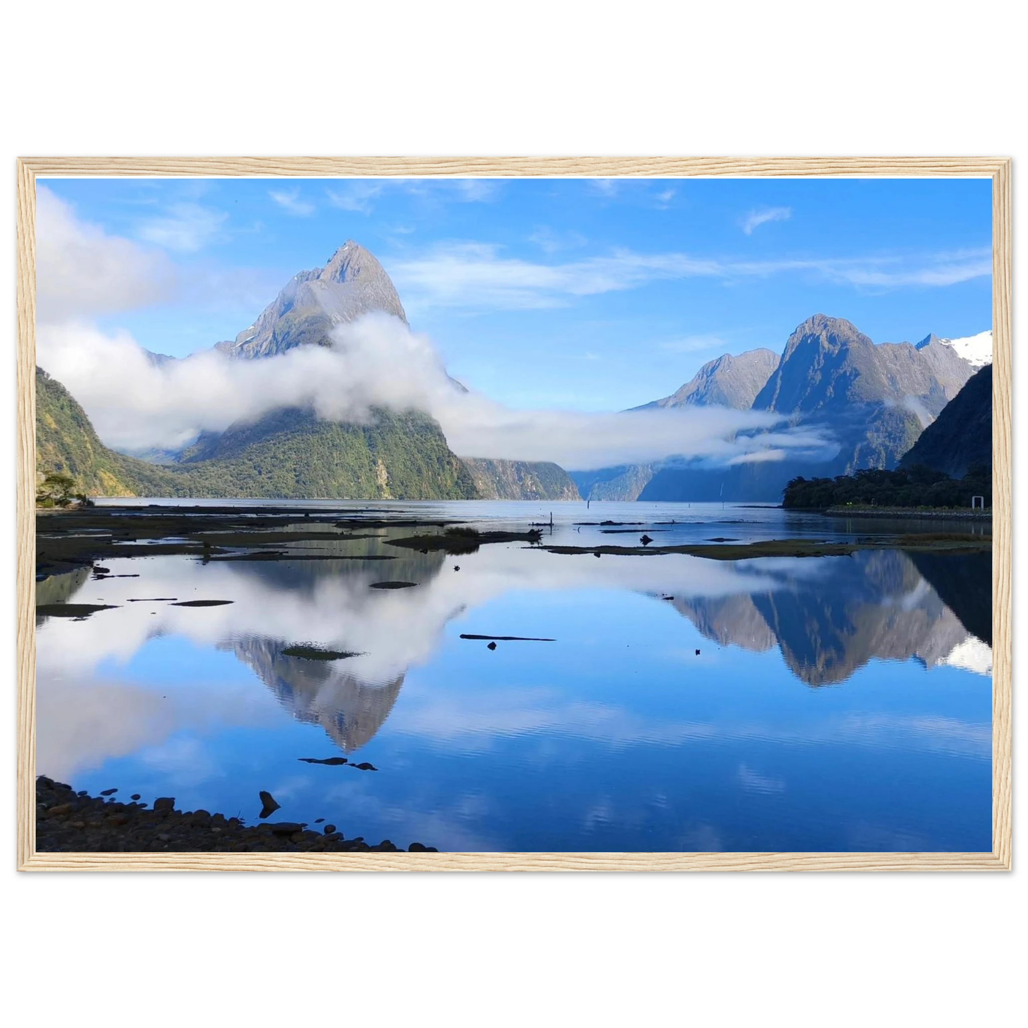 52bb0141-f528-4a12-a96a-9c4468bdbe74