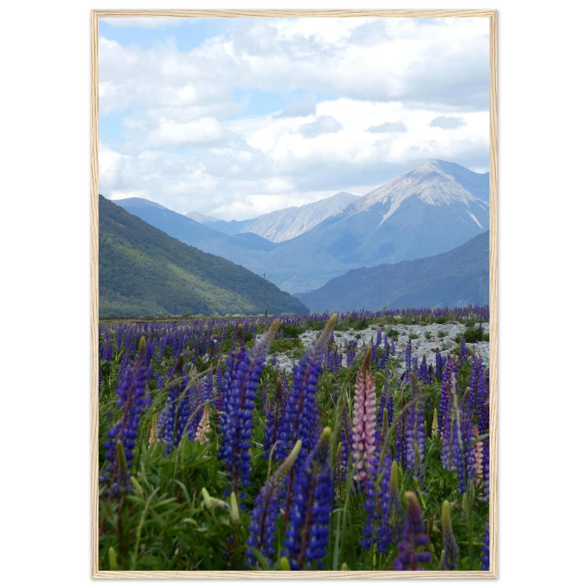 5f229da8-19b0-49d5-b51f-8b3a8b2857eb