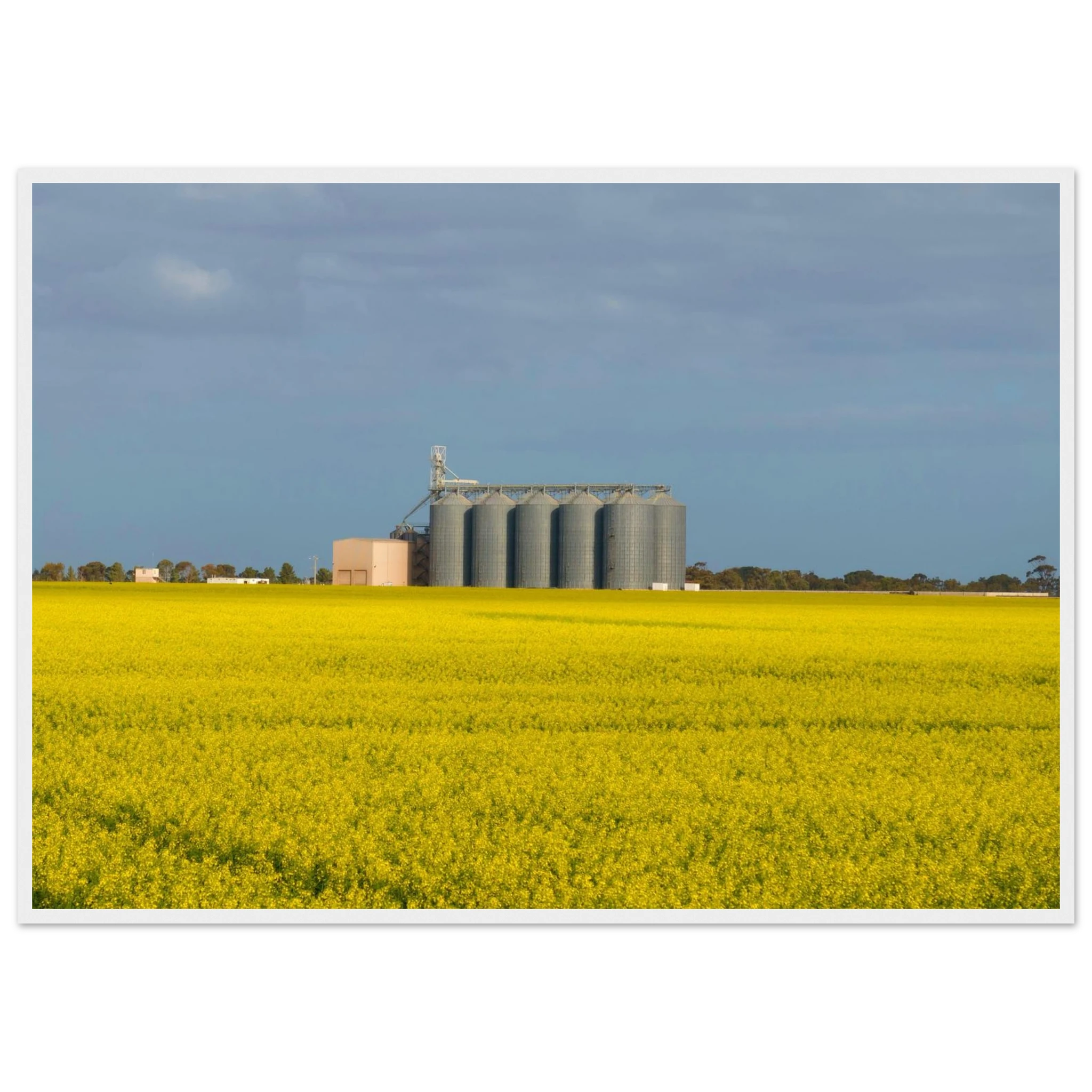 674b4b52-fd23-4f91-8fe1-a2e4886e1858