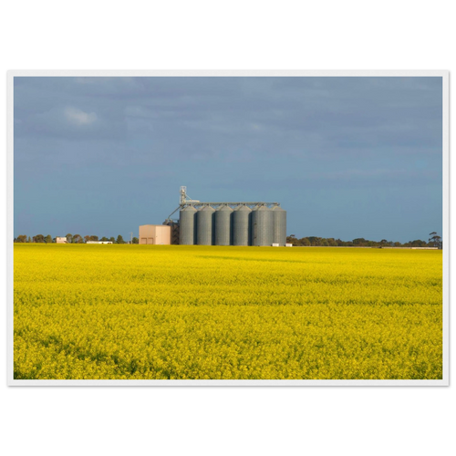 674b4b52-fd23-4f91-8fe1-a2e4886e1858