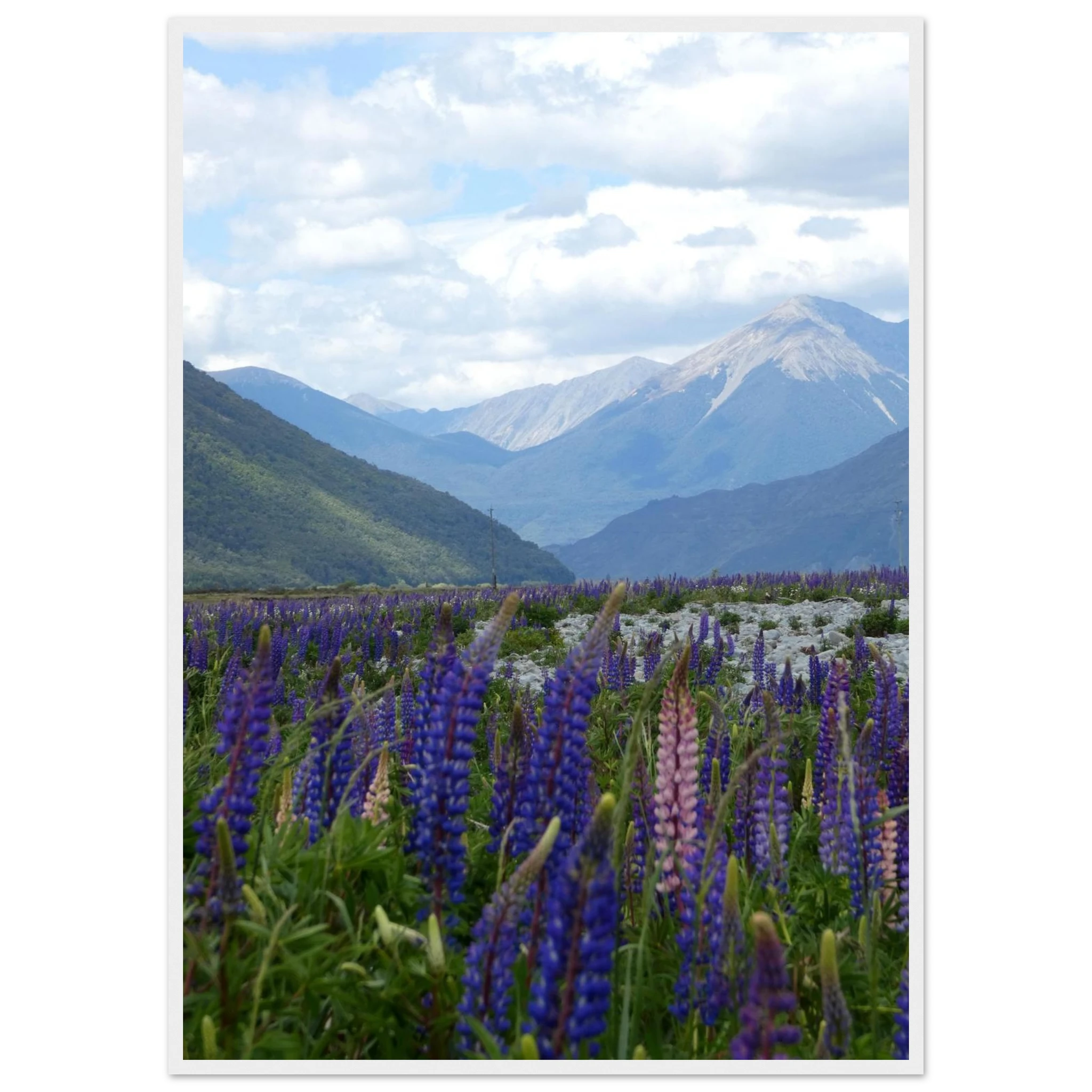 733b8d9c-cacf-4081-ad5f-0f5b486dc39e