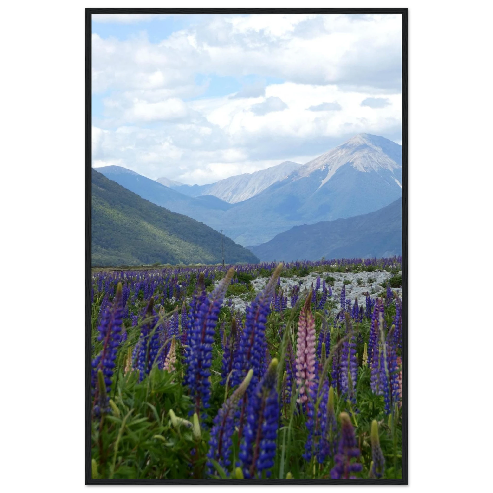 81b7356d-d598-4a7b-bc8e-7e8bfc174de5