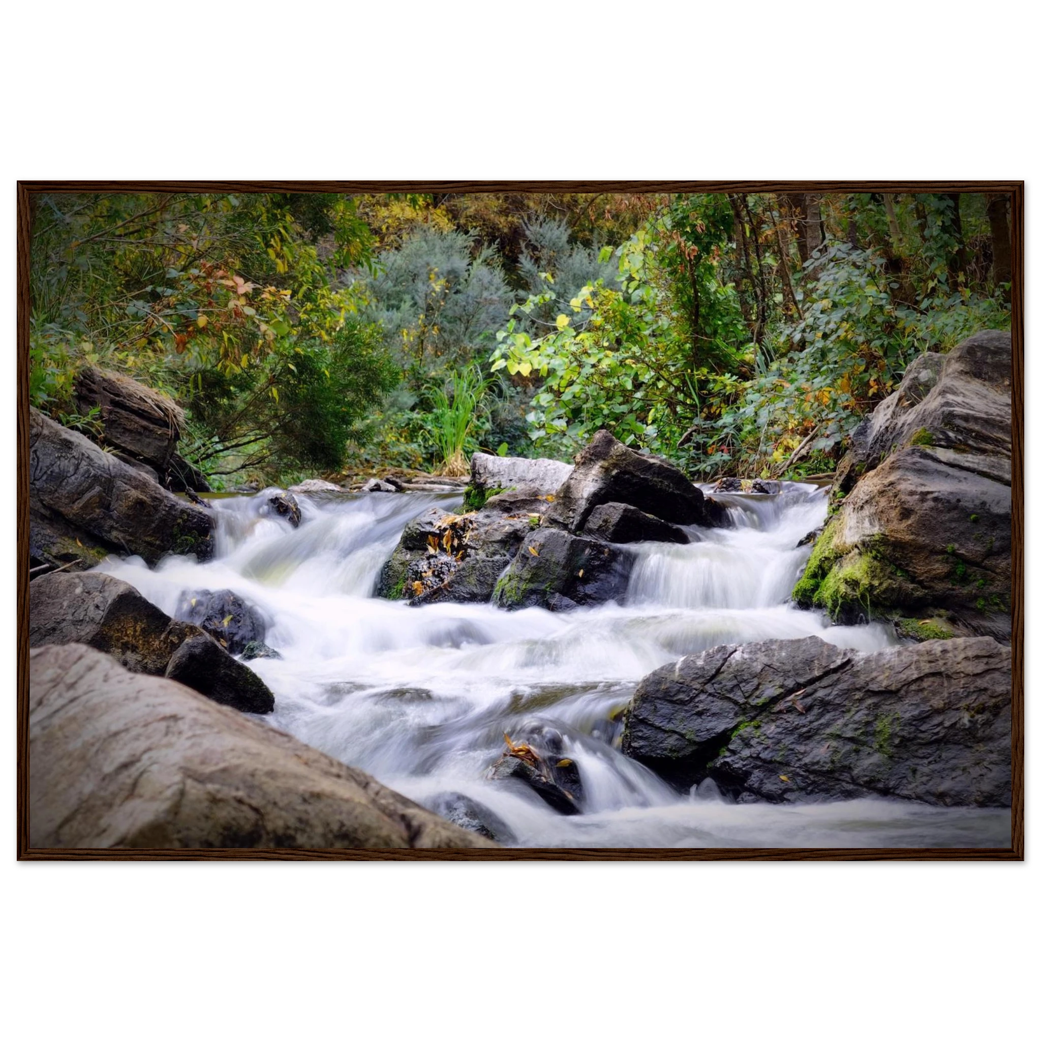 862e35e5-6638-41cf-9cfd-afe0937ac7c5