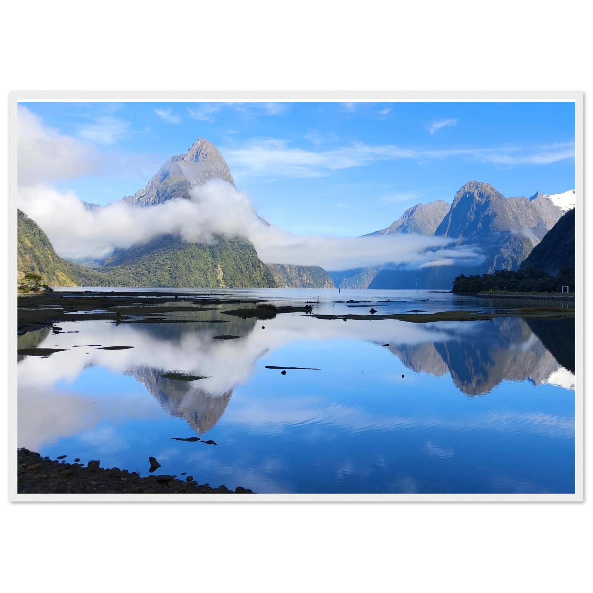 9b07d2ef-540e-425a-9f6f-f05a4269159d