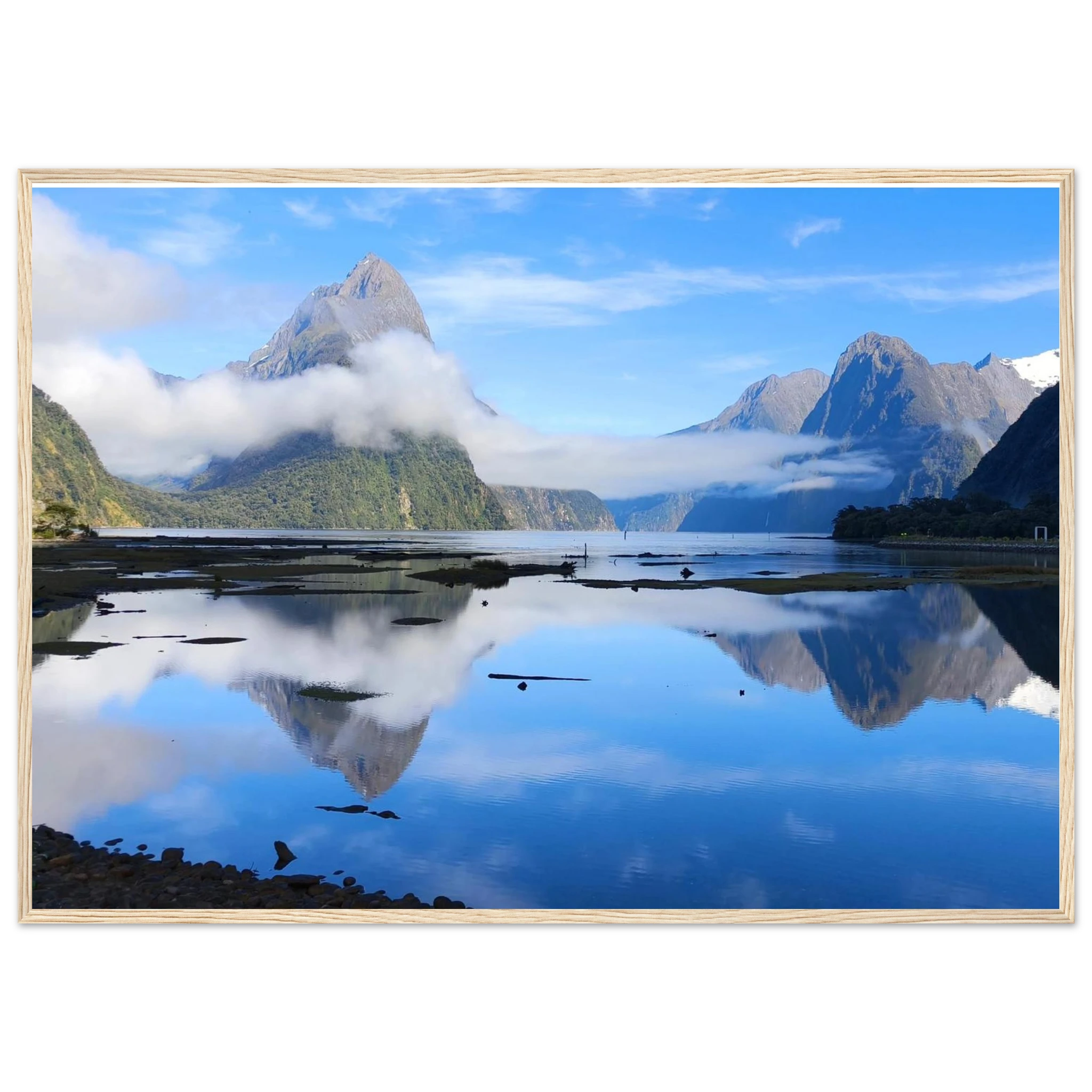 9be1e9c9-408a-400a-b0f2-60ada67e7640