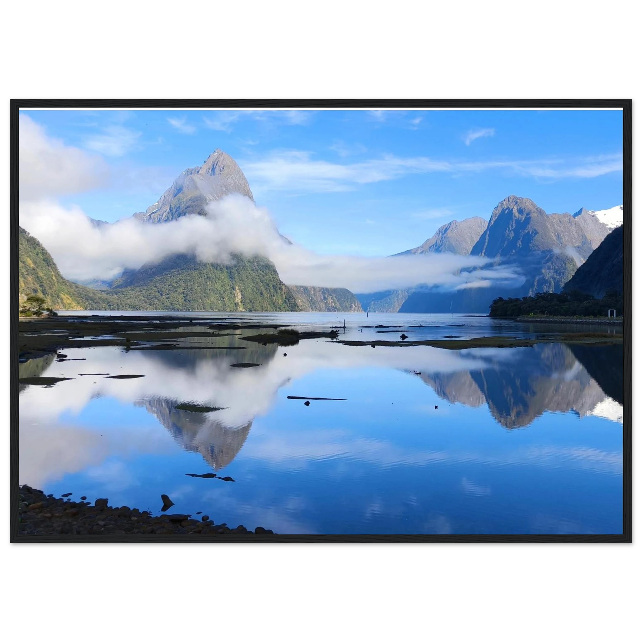 b16fda2b-a1c5-4a11-ae97-3540692c6030