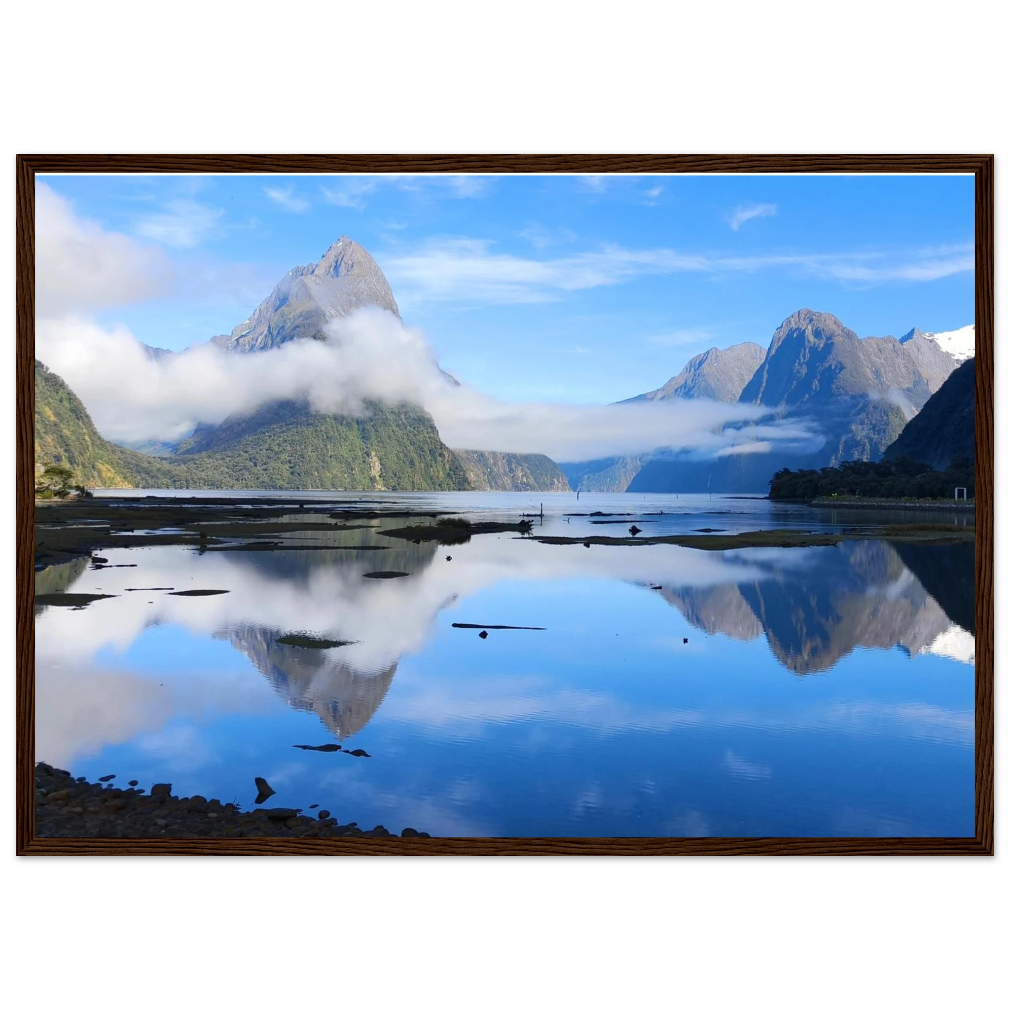 b25d6942-1eea-48ab-9280-005a73e53c94