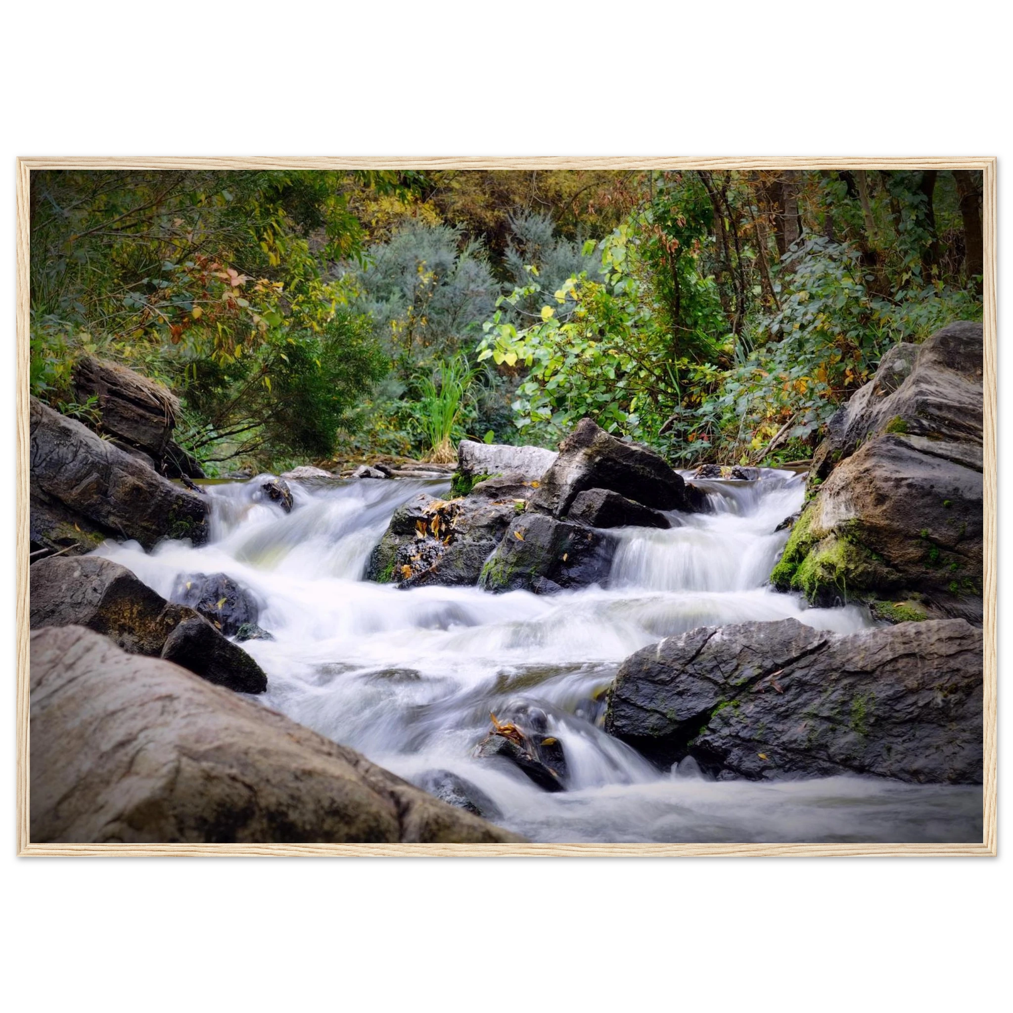 b3c6f41d-ef6d-405f-9d91-e07b0b7a860e