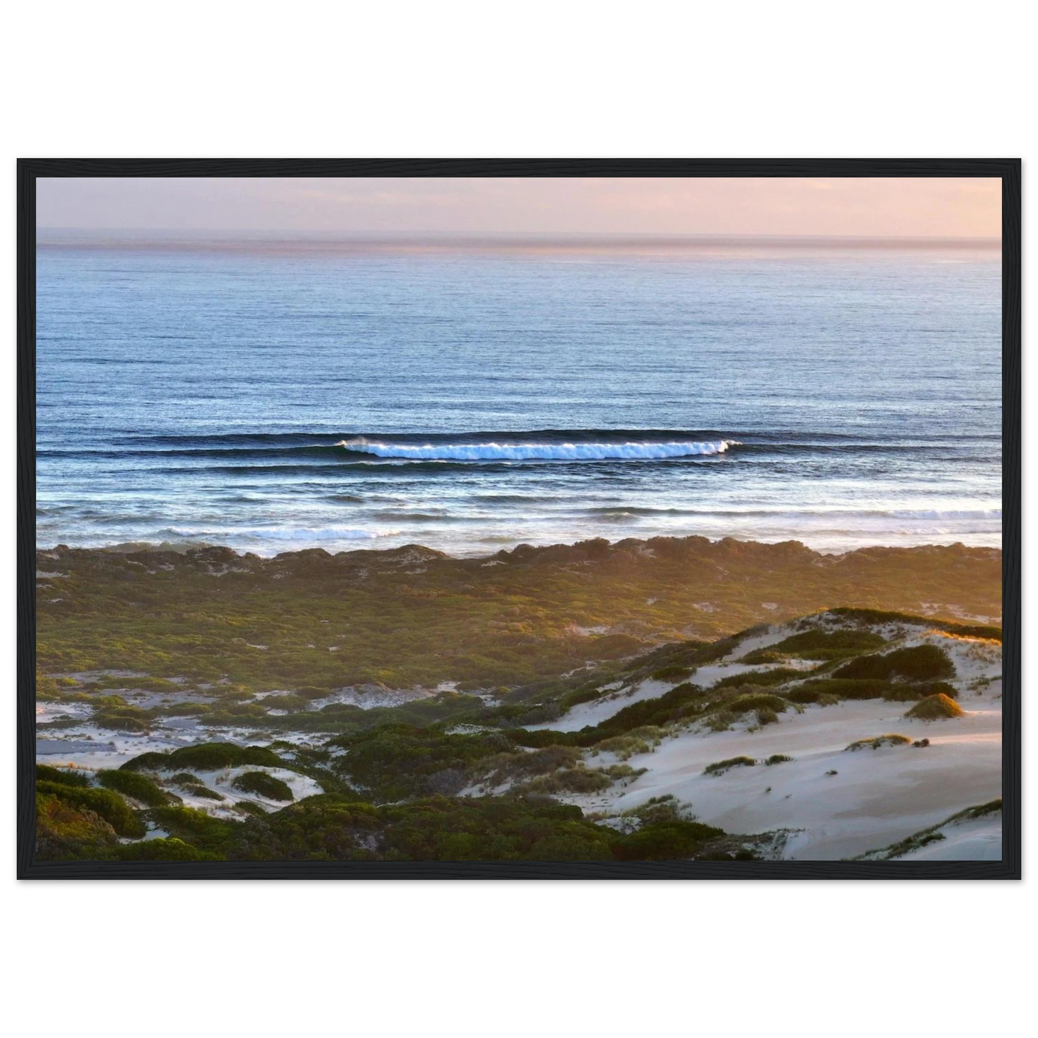 c2e71675-5878-46b8-8878-8a086f7820f8