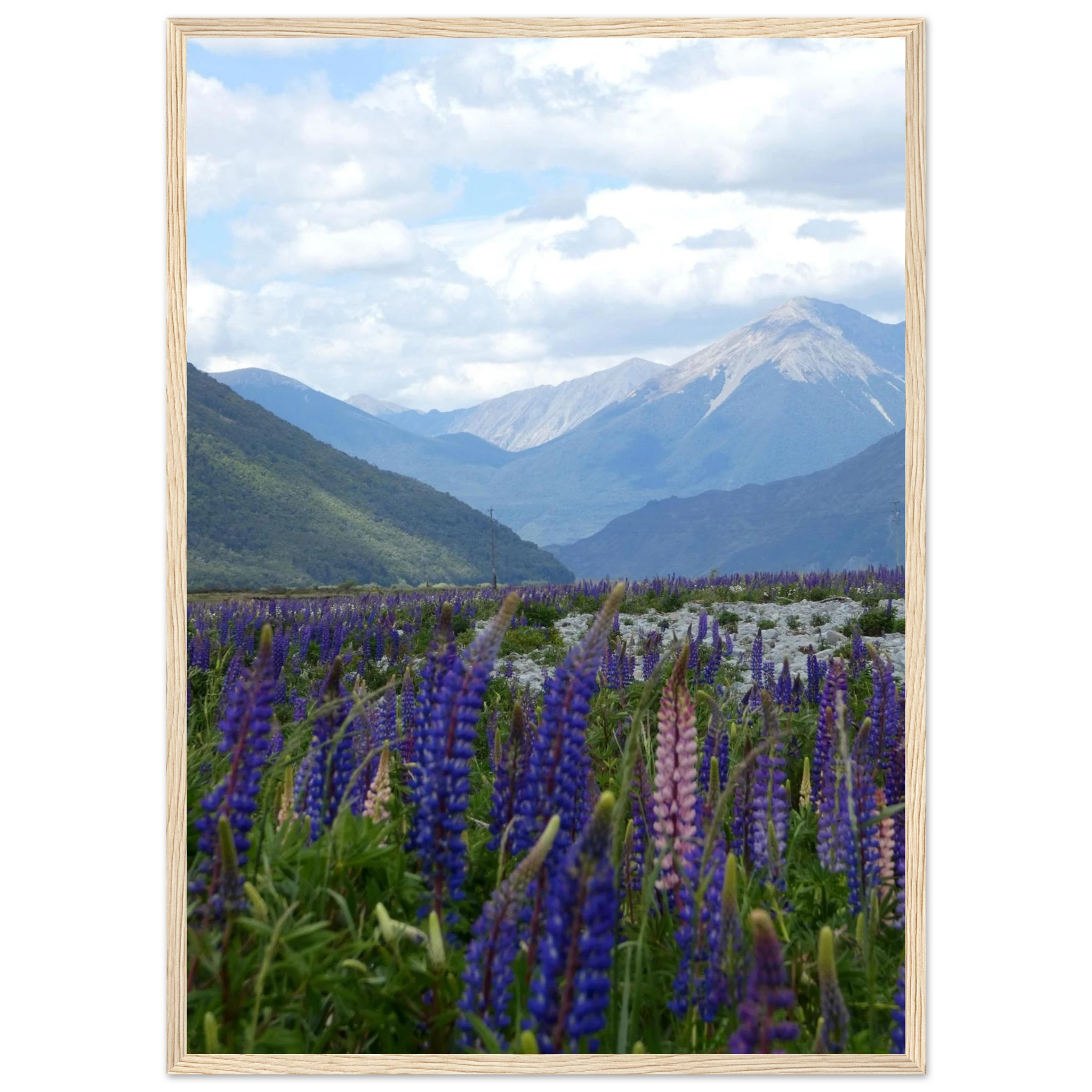 cac9dc0b-3522-4de9-a40c-affe4adf2fbe