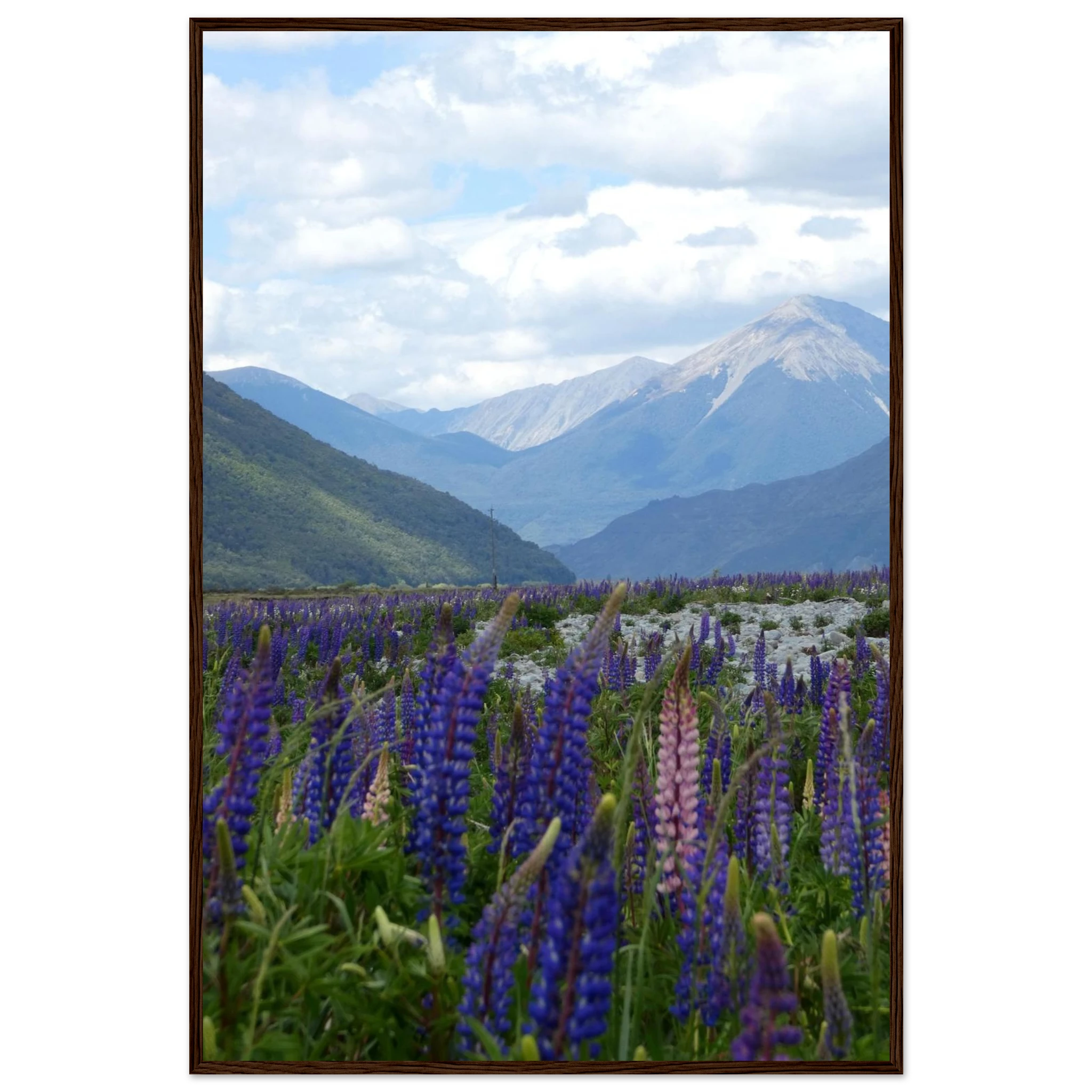 d44dbd2d-52f0-4791-977b-1e91cbc244a9