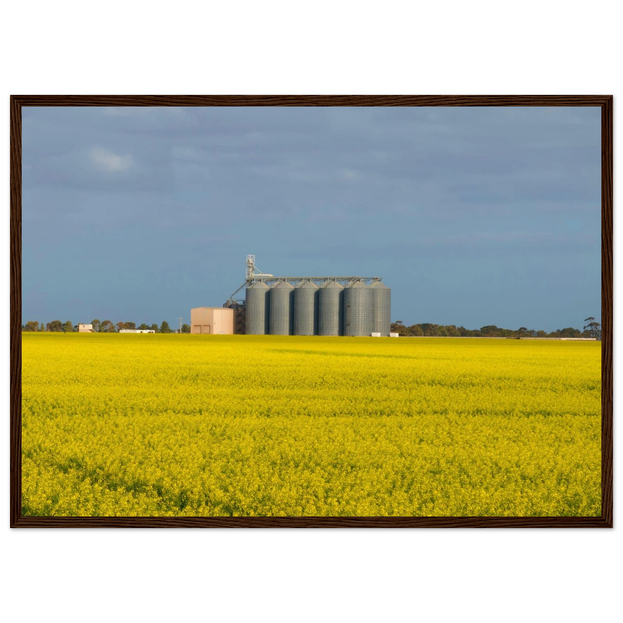 d6157dfc-ee06-44a8-9593-a51282c4f0ef