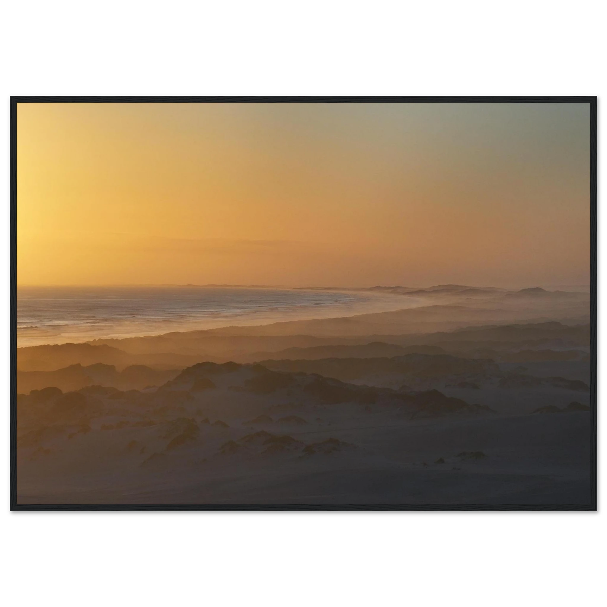 d998d54b-c2f1-4e9b-9e35-54af42a79485