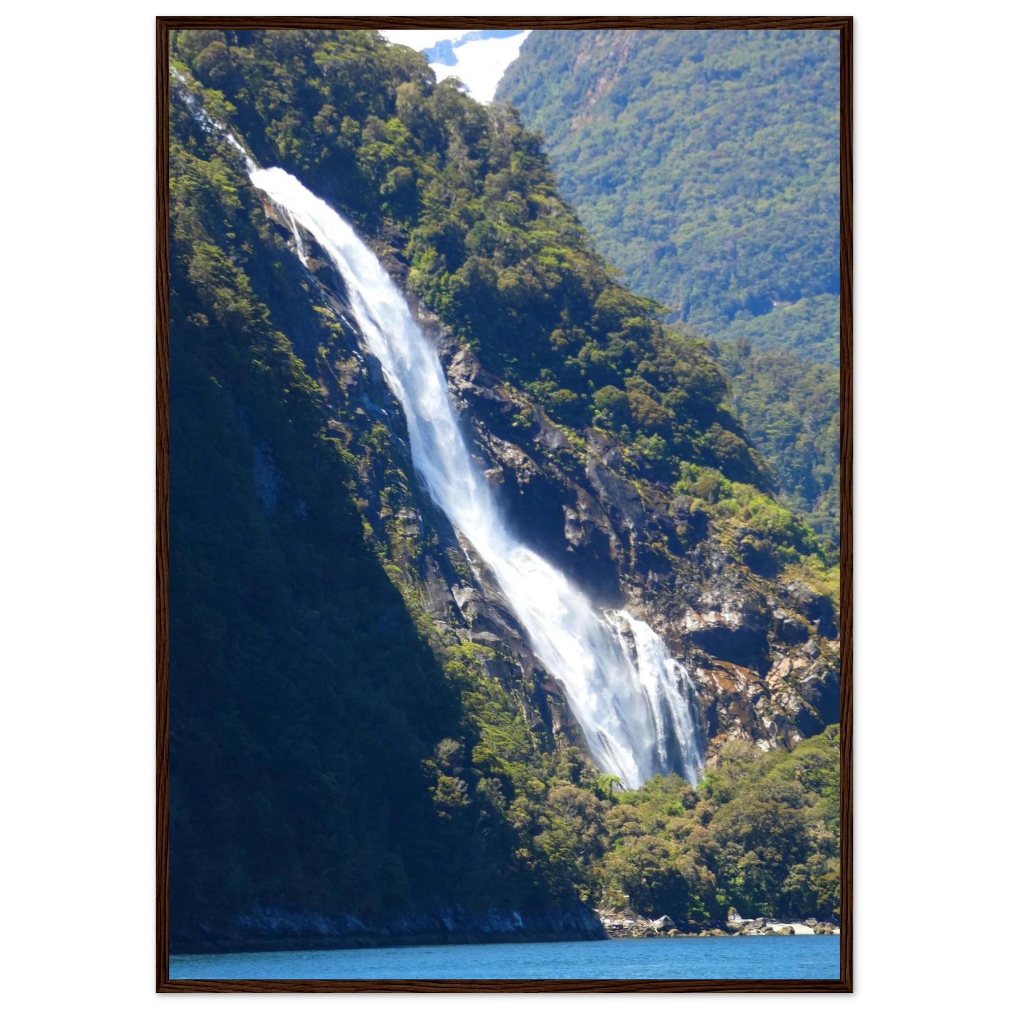 dba77b4c-0b29-4b56-96c6-b940da696a9e