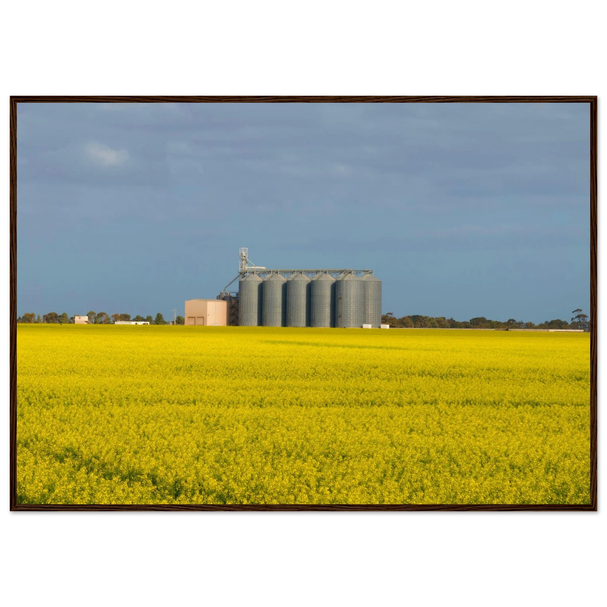 ddc4acad-e949-4d38-94c2-900171361a11