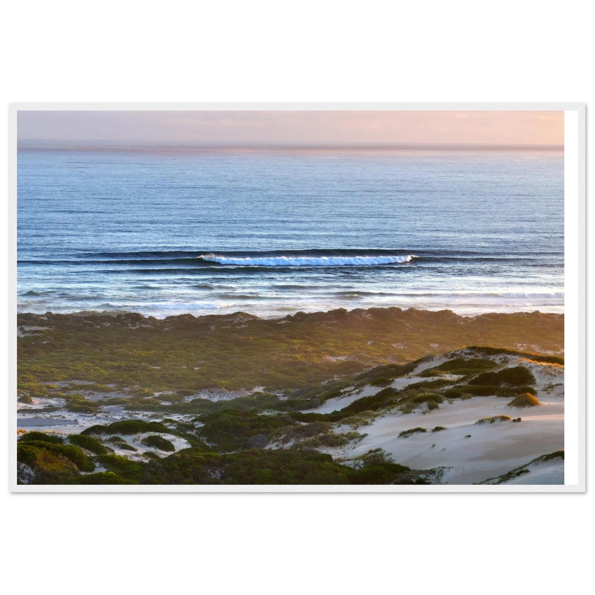 e885d2db-3620-47a0-afe5-bff95ccb74d6