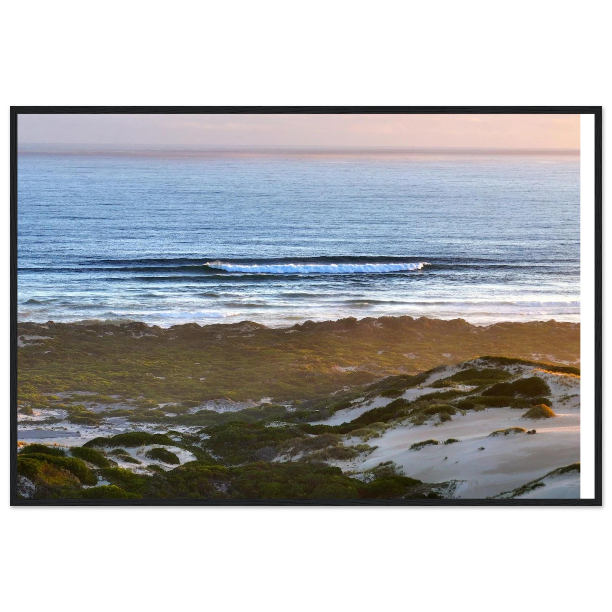 ec5a08c6-2537-4615-a26d-6a2227a07d81