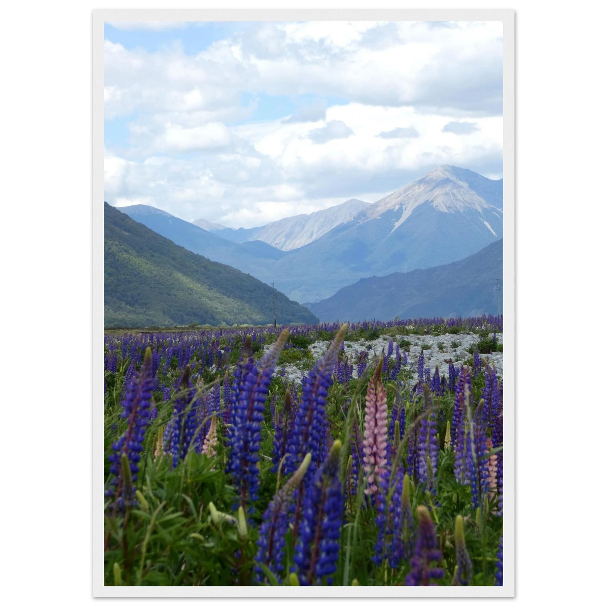 ed7189d6-d601-4361-bfcd-9107f22e9dfe