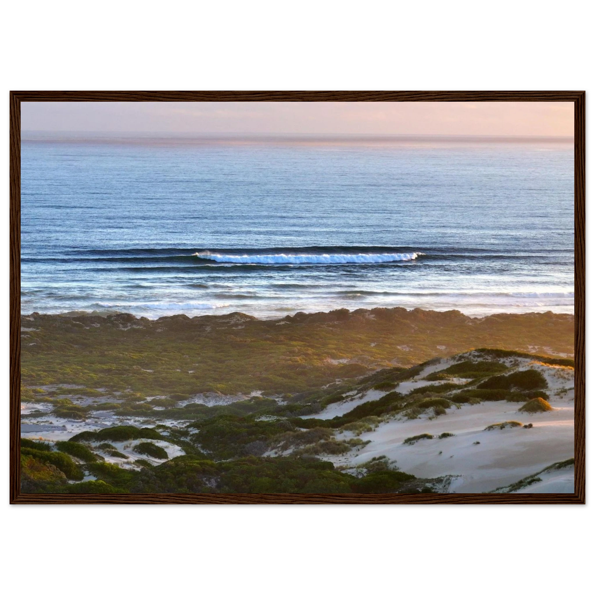 ede2204a-4ef0-4db1-ab72-d16102ef2cd1