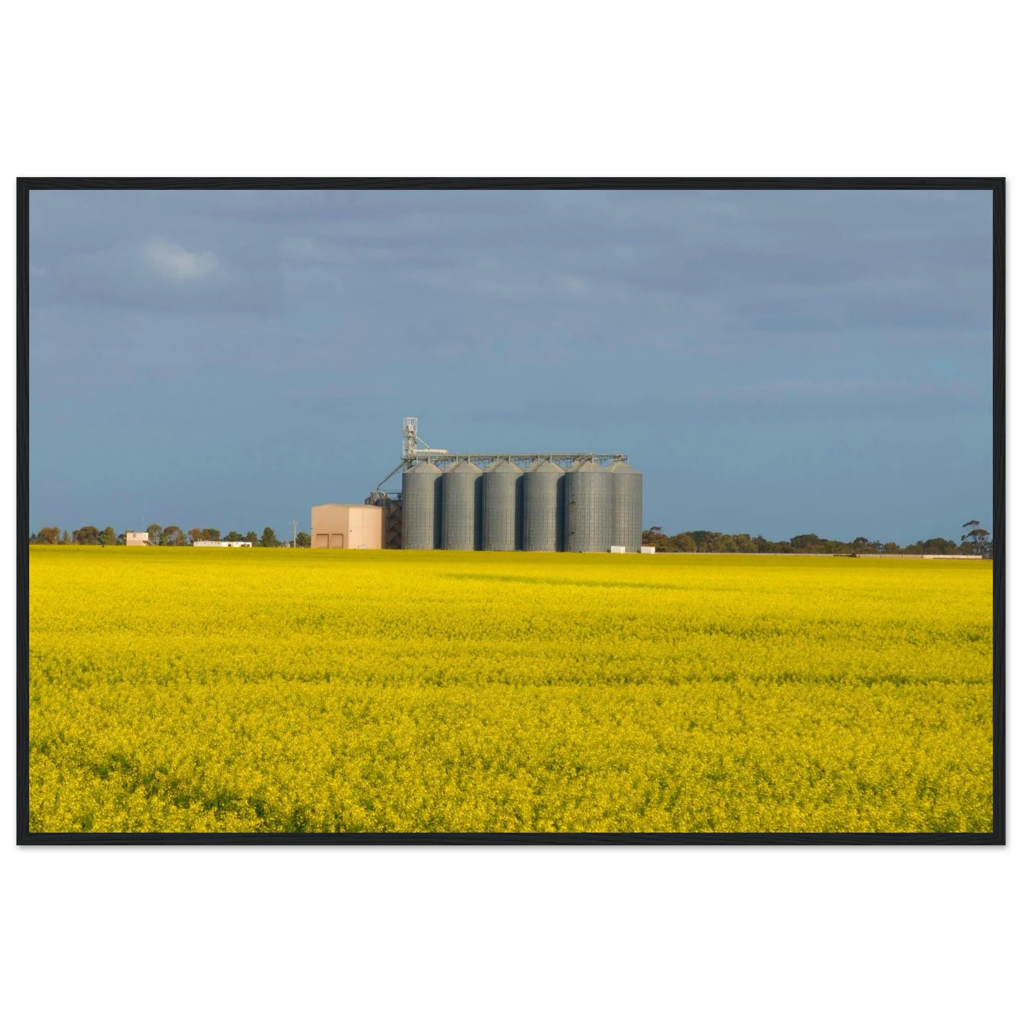 f156b6c3-b659-47a5-9418-34c44d98dcaf