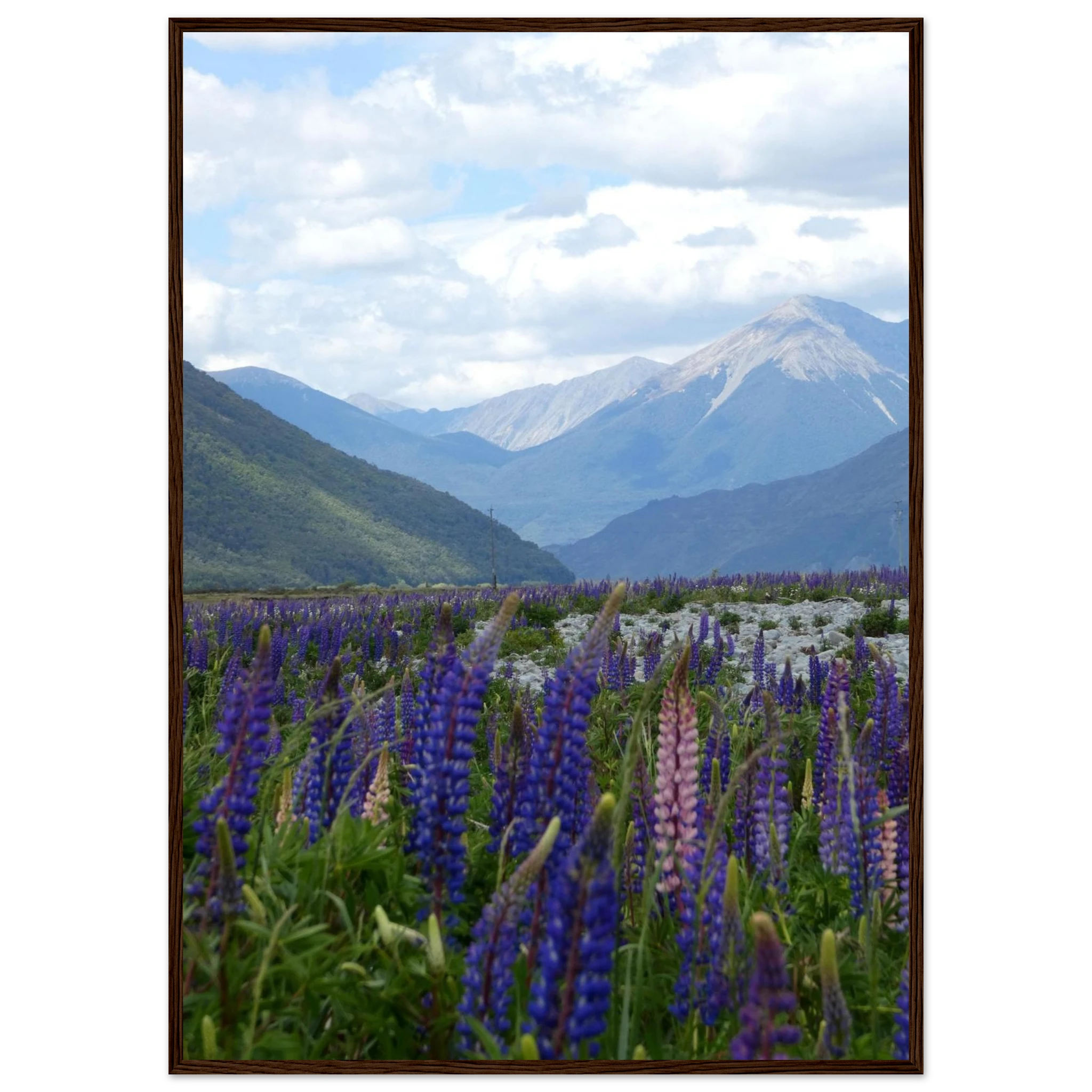 f21ad85a-b49c-4370-951b-65e2fb6f84ad